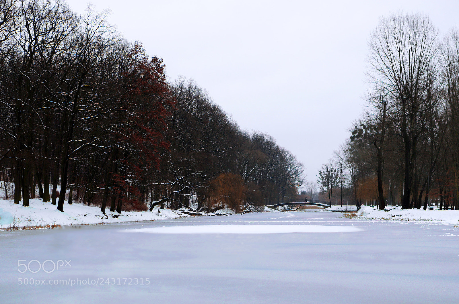 Canon EOS 6D Mark II sample photo. Magic bridge photography