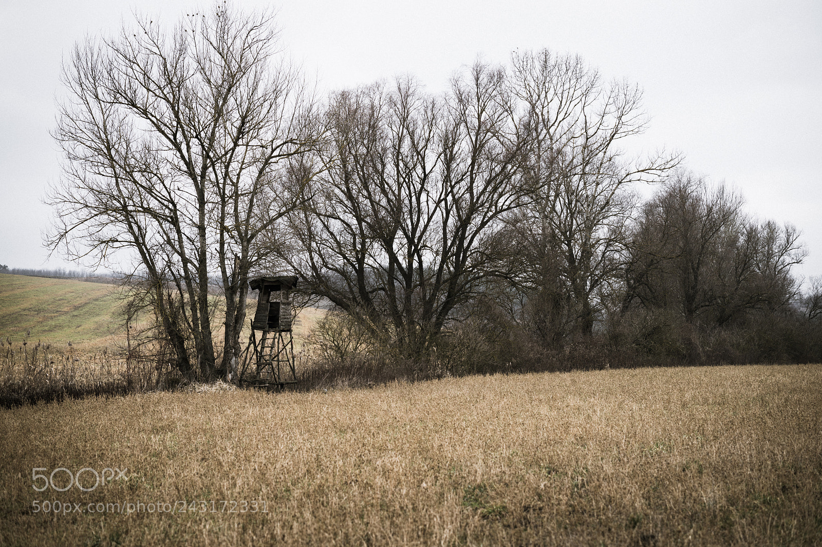 Sony a7 sample photo. Ls hunter photography