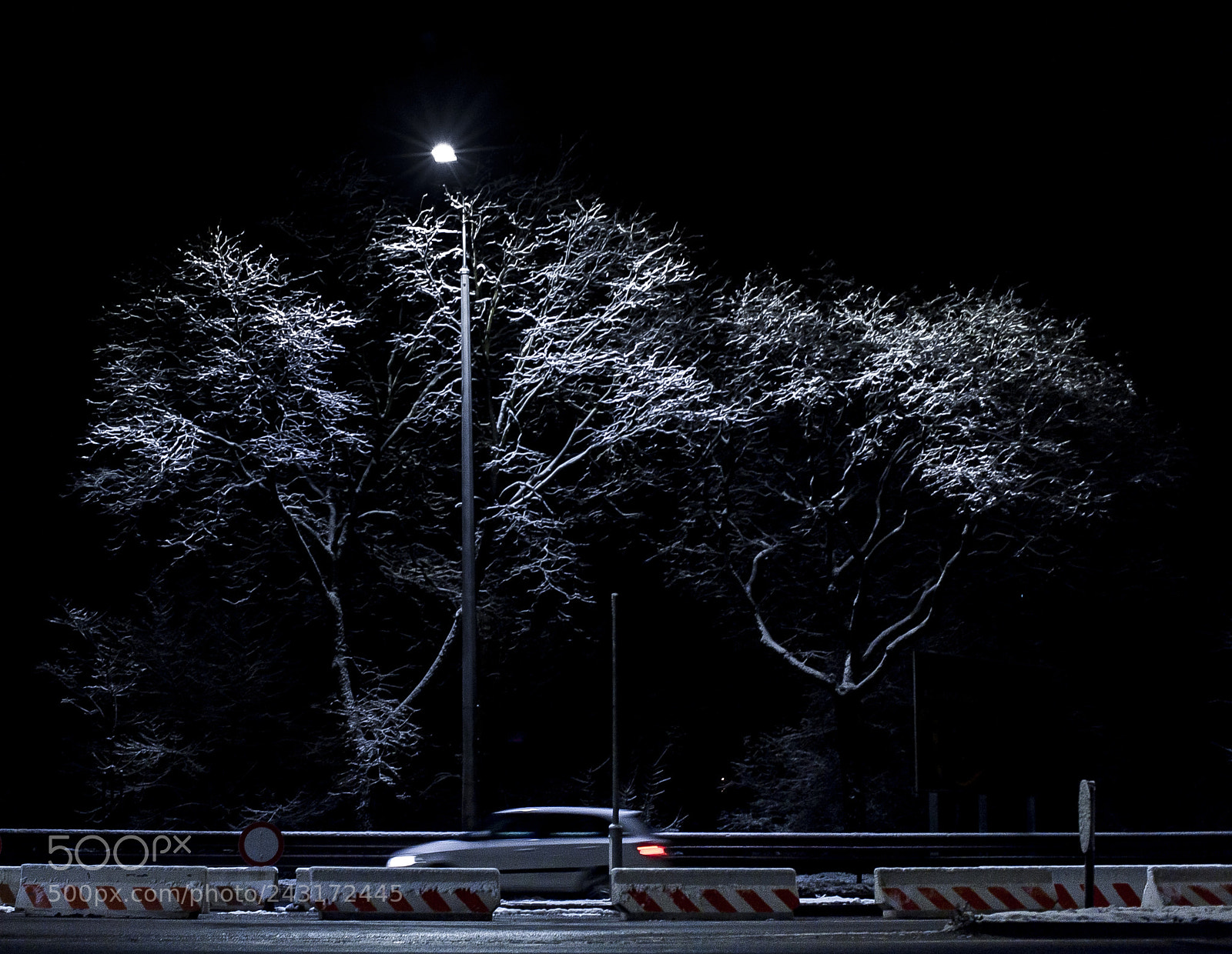 Nikon D700 sample photo. Frozen photography