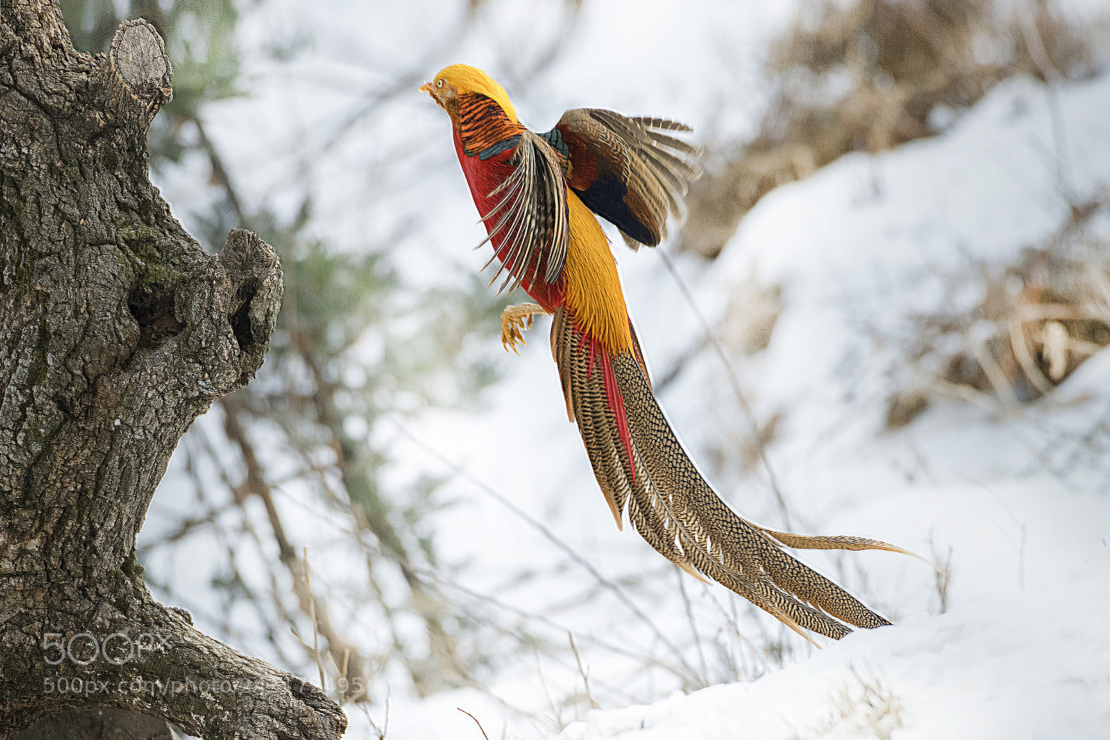 Nikon D850 sample photo. Dsc photography