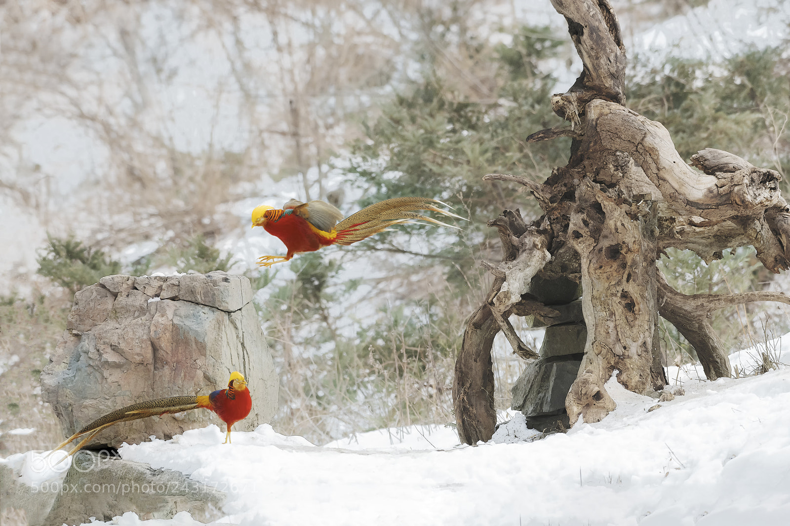 Nikon D850 sample photo. _dsc2444-1.jpg photography