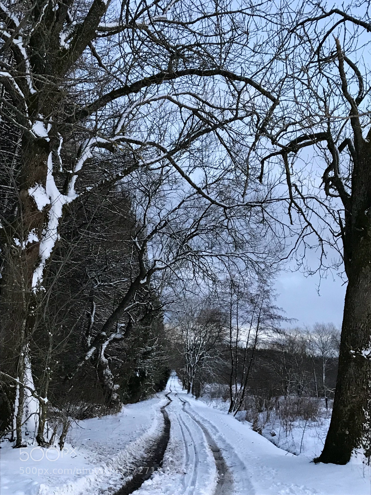 Apple iPhone 7 sample photo. Winter is back photography