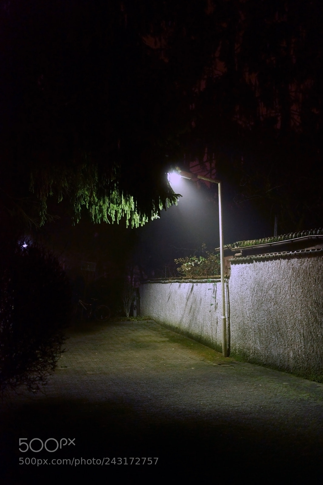 Sony a7 II sample photo. Lantern in the night photography