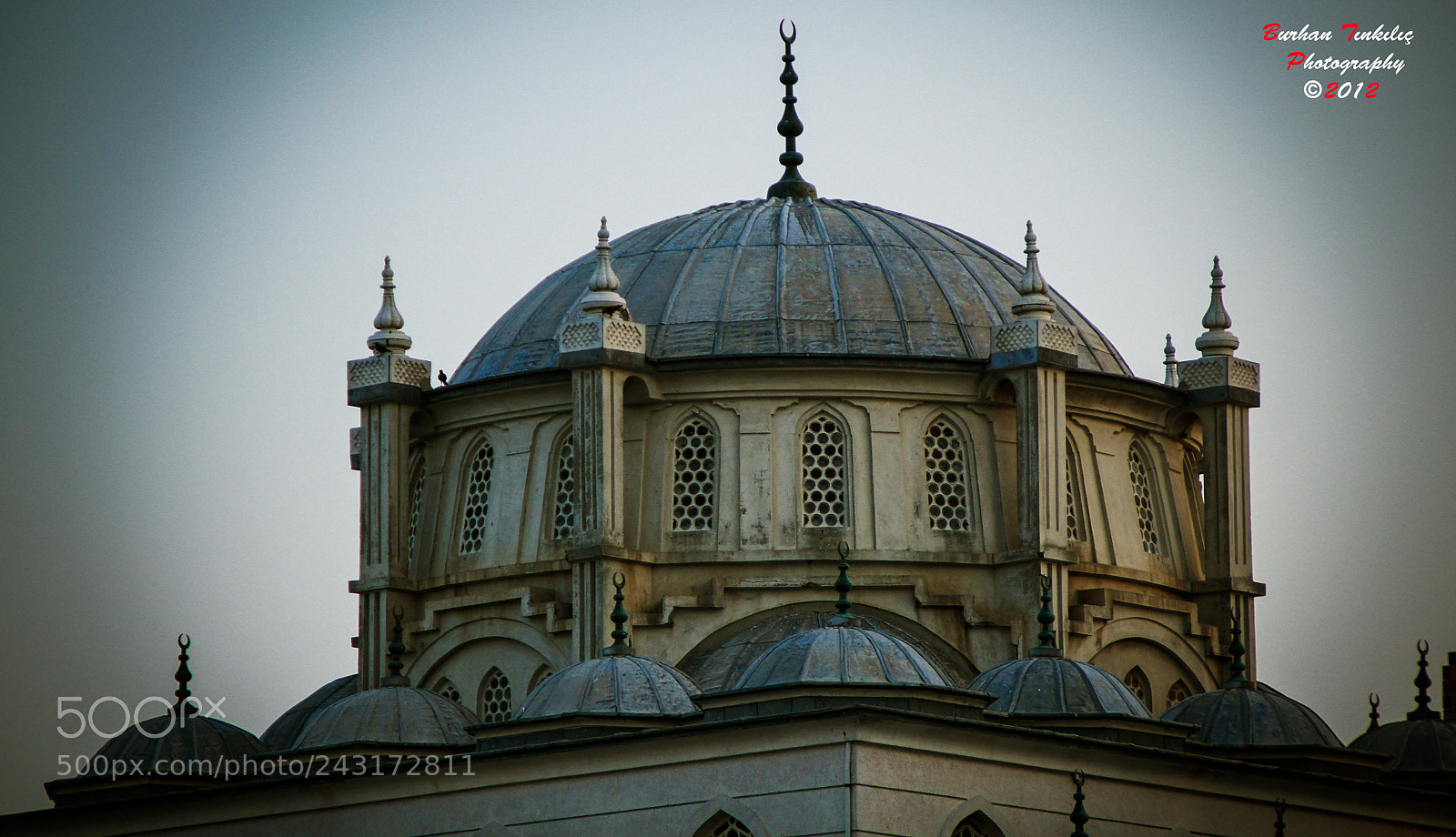 Sony SLT-A55 (SLT-A55V) sample photo. Untitled photography