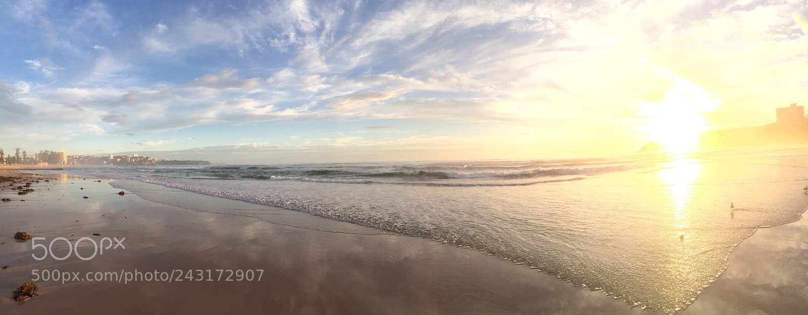 Apple iPhone 6 sample photo. Img photography