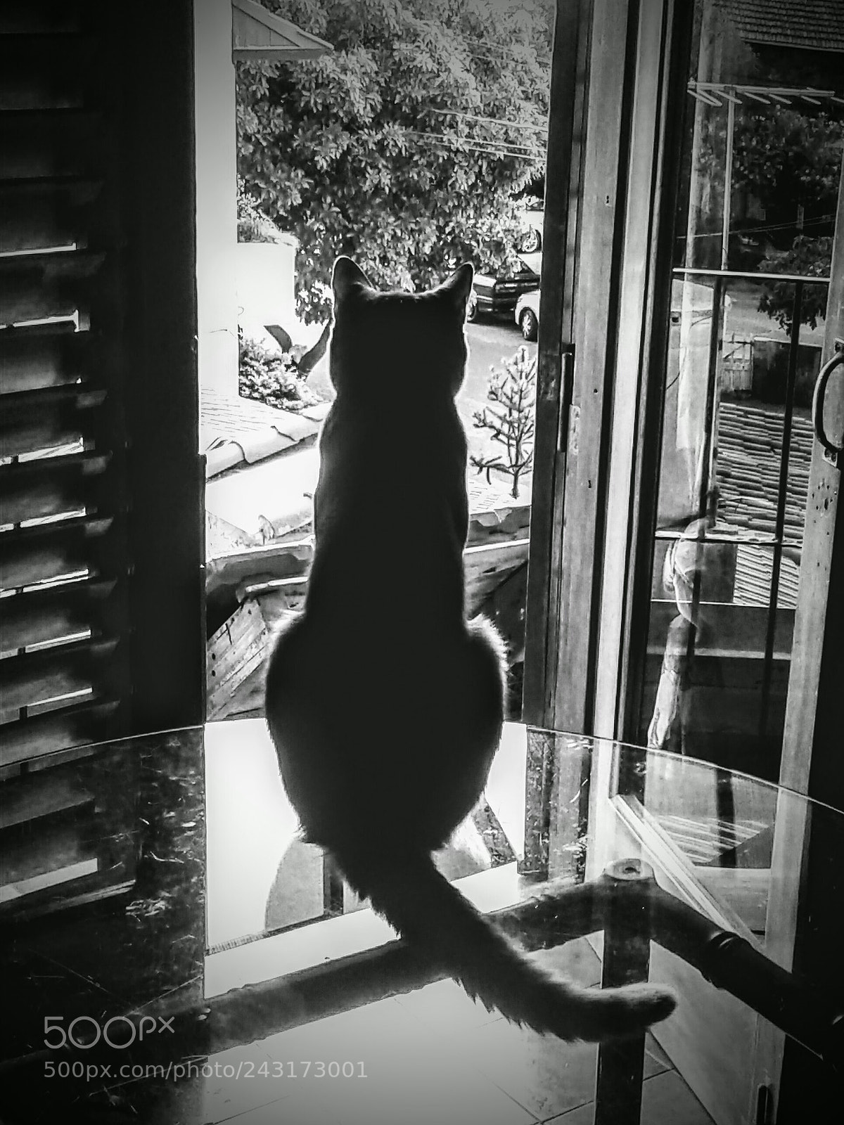 Samsung Galaxy J1 Ace sample photo. Ulises  mirando al mundo.. photography