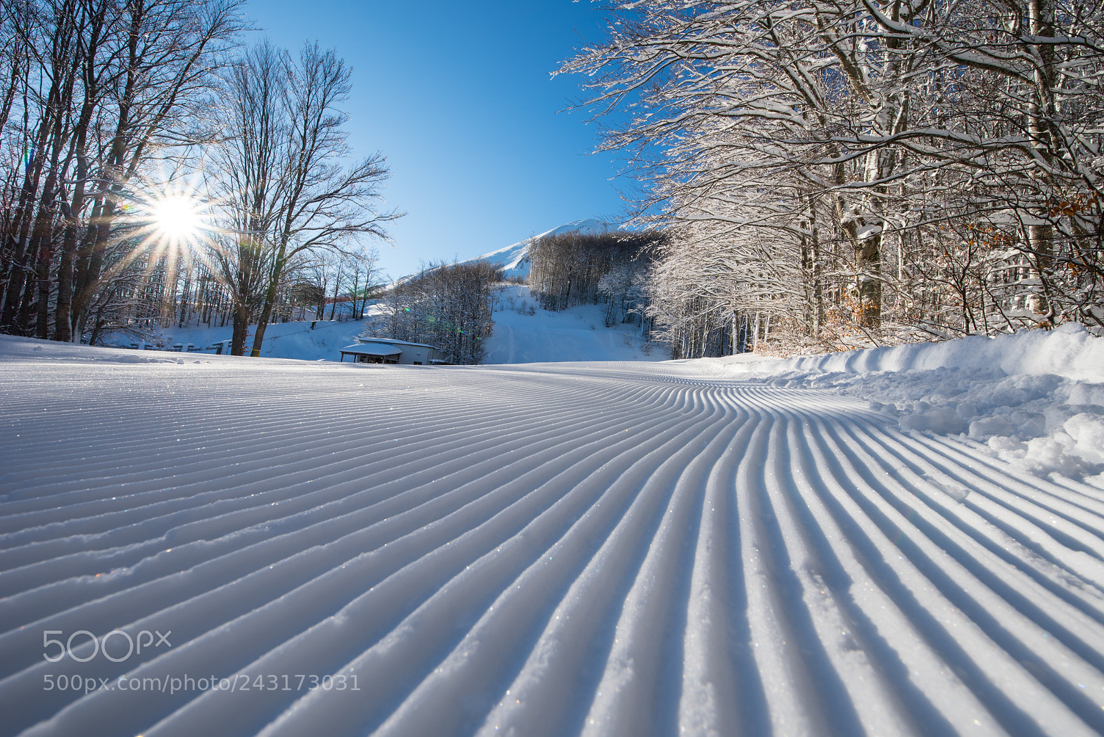 Nikon D810 sample photo. Onde di neve photography