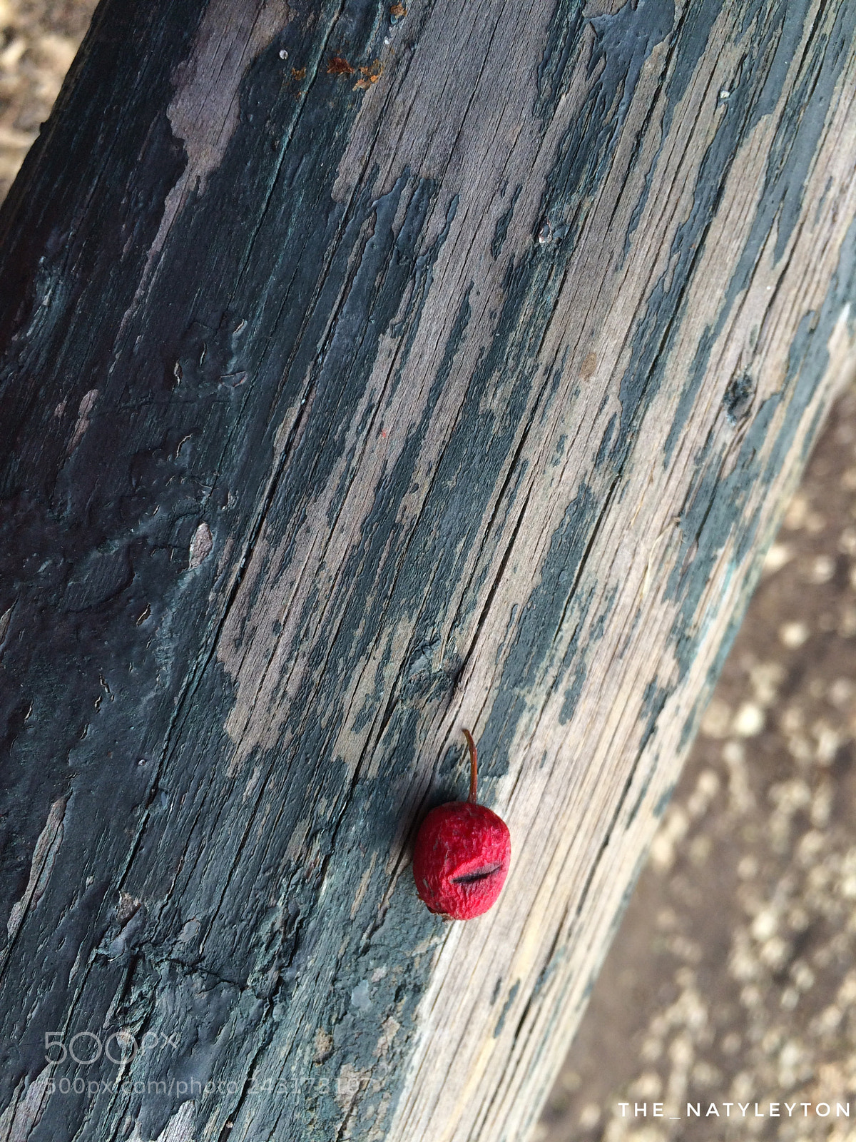 Apple iPhone 5s sample photo. Hurt photography