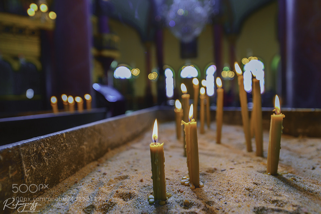 Nikon D800 sample photo. Untitled photography