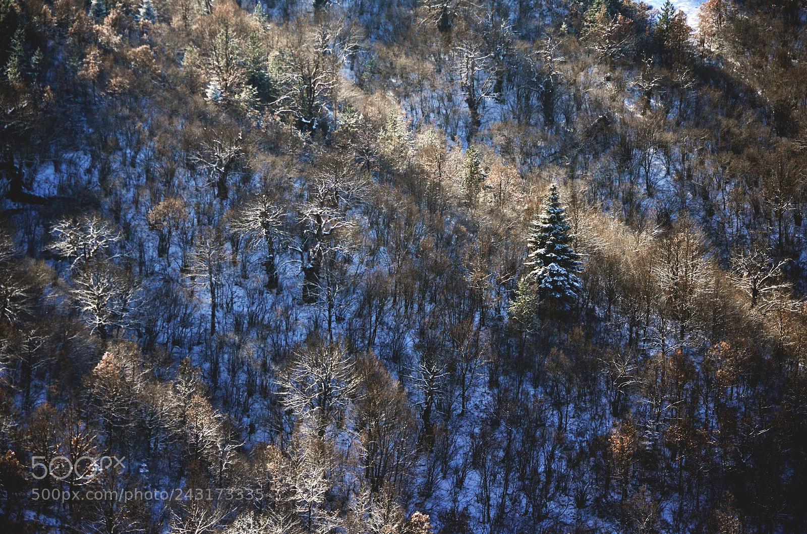 Nikon D5100 sample photo. Paths of light photography