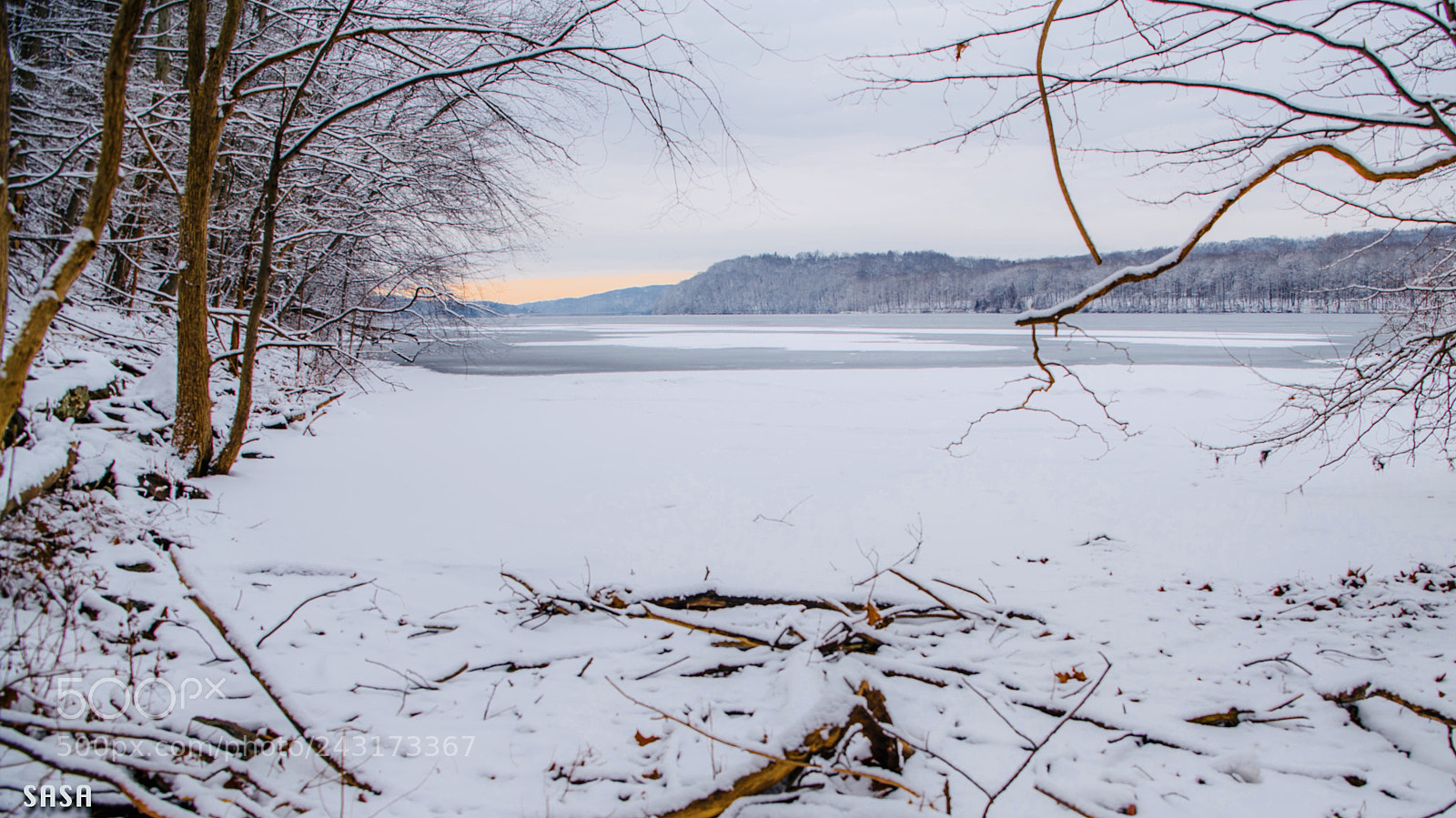 Nikon D850 sample photo. Winter photography