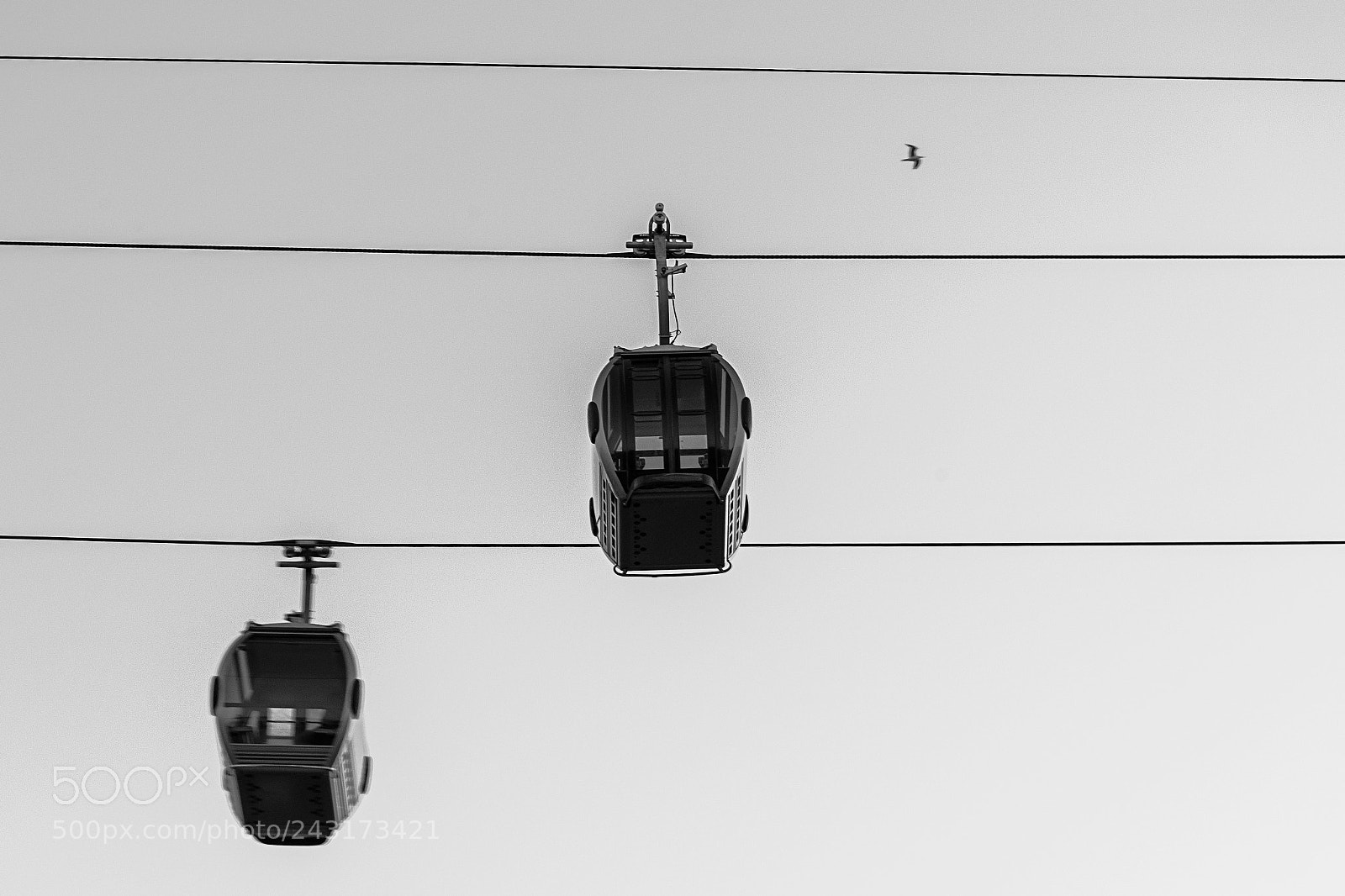 Nikon D610 sample photo. Tren en línea photography