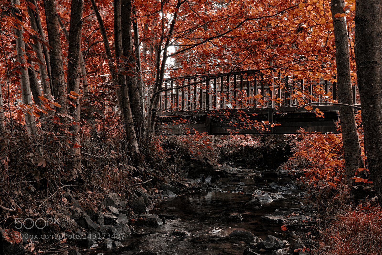 Canon EOS 7D Mark II sample photo. The bridge photography
