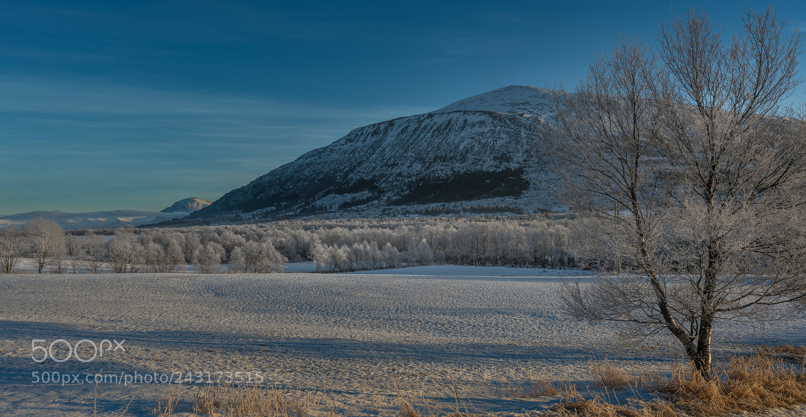 Sony a7R II sample photo. Frozen fields photography
