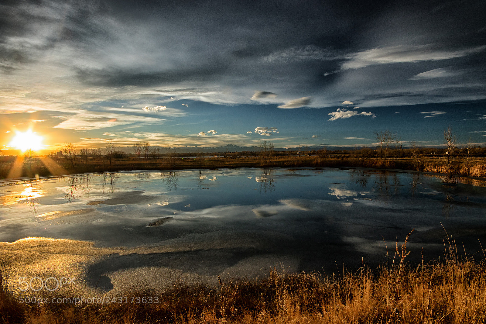 Canon EOS 7D Mark II sample photo. Yellow legs pond photography