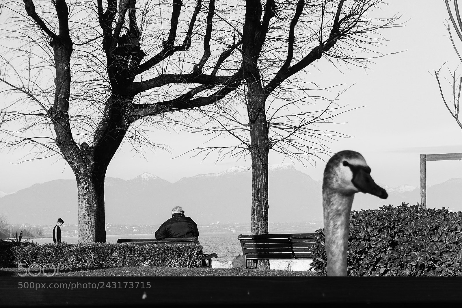 Sony Cyber-shot DSC-RX100 III sample photo. Desenzano del garda photography