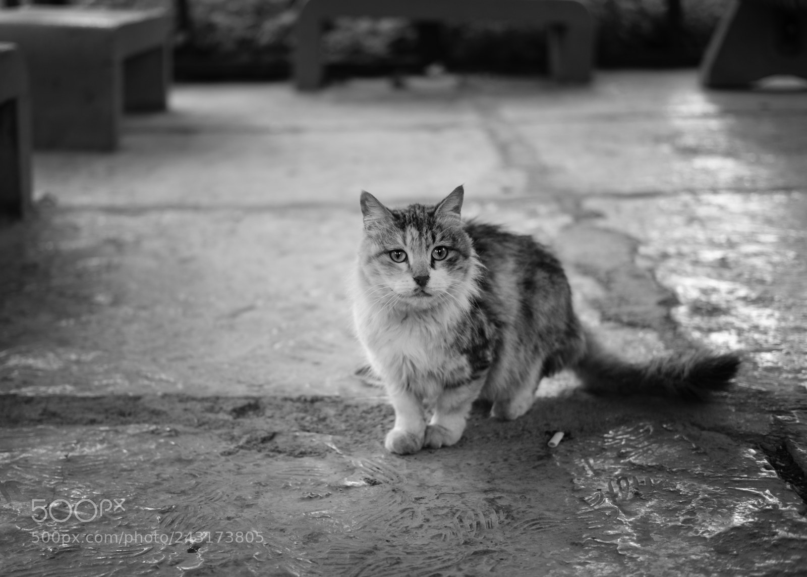 Fujifilm X-Pro2 sample photo. Homeless photography