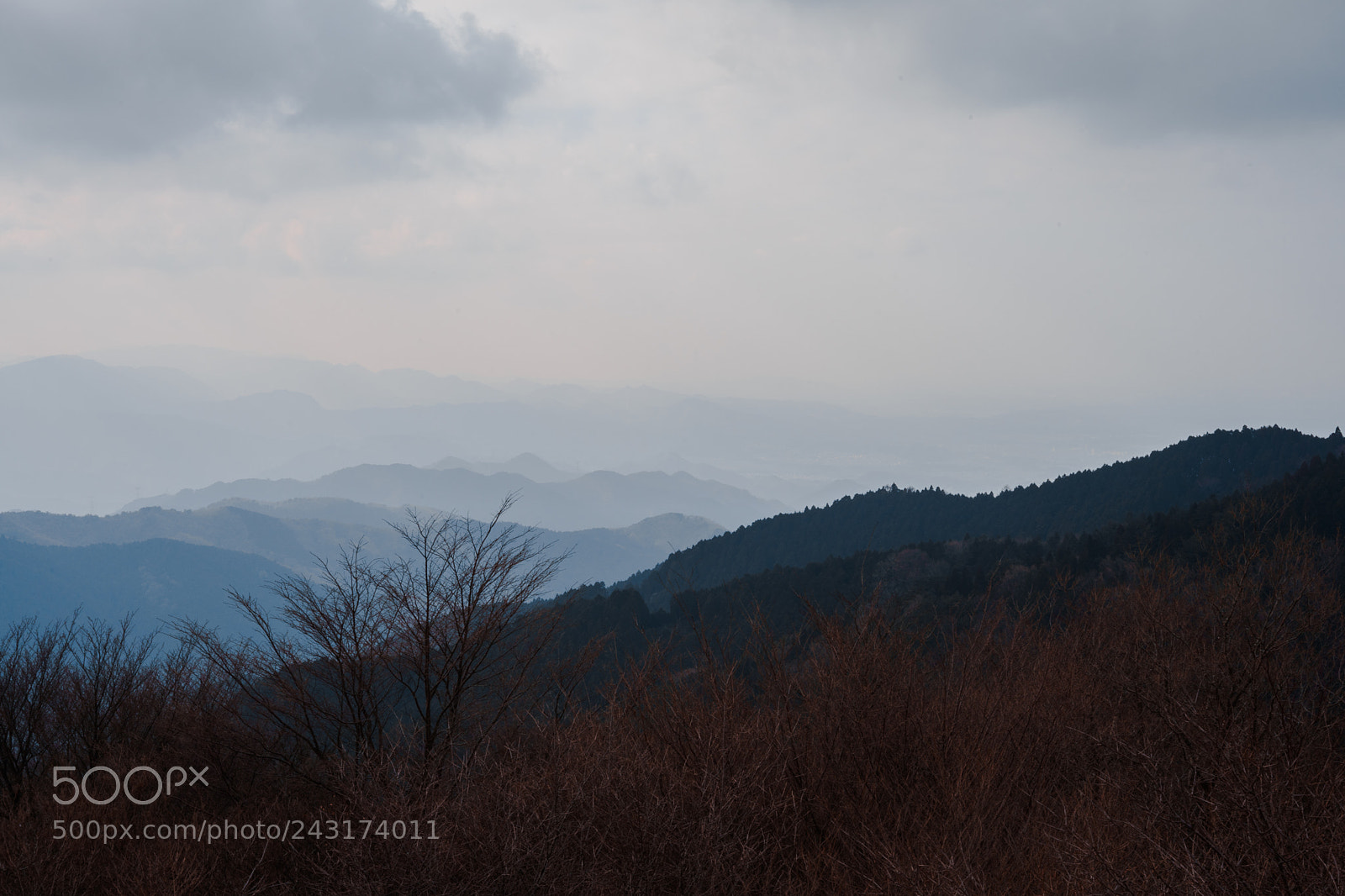 Sony a7 II sample photo. Untitled photography