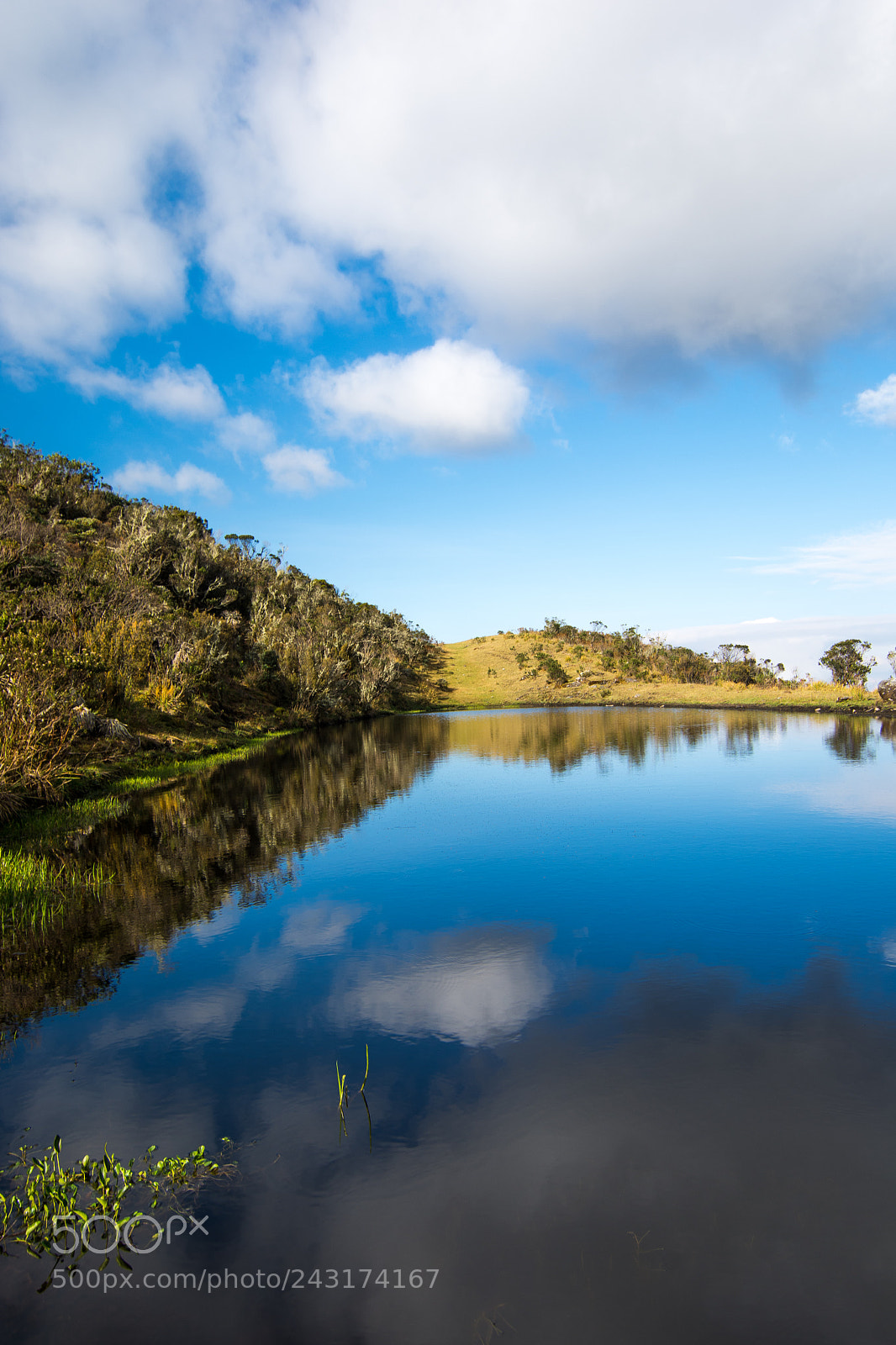 Nikon D7100 sample photo. Reflejo photography