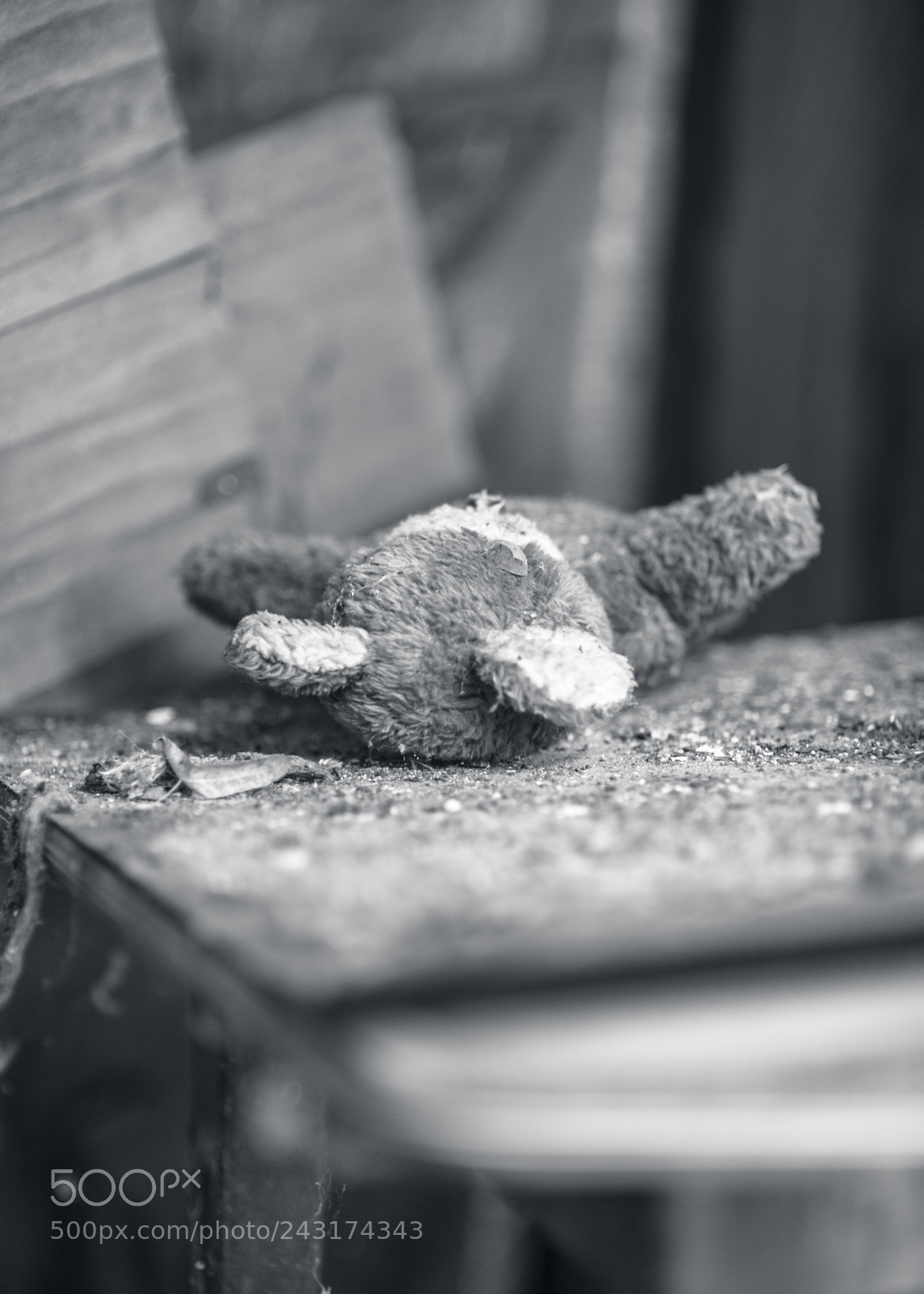 Nikon D700 sample photo. Forgotten toys photography
