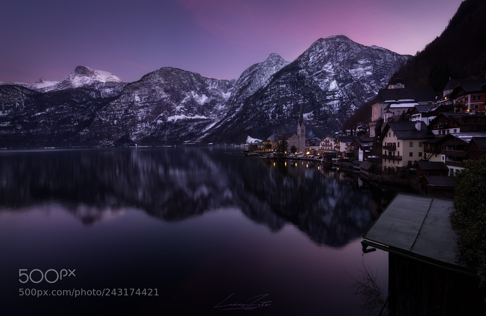 Nikon D600 sample photo. Hallstatt purple photography