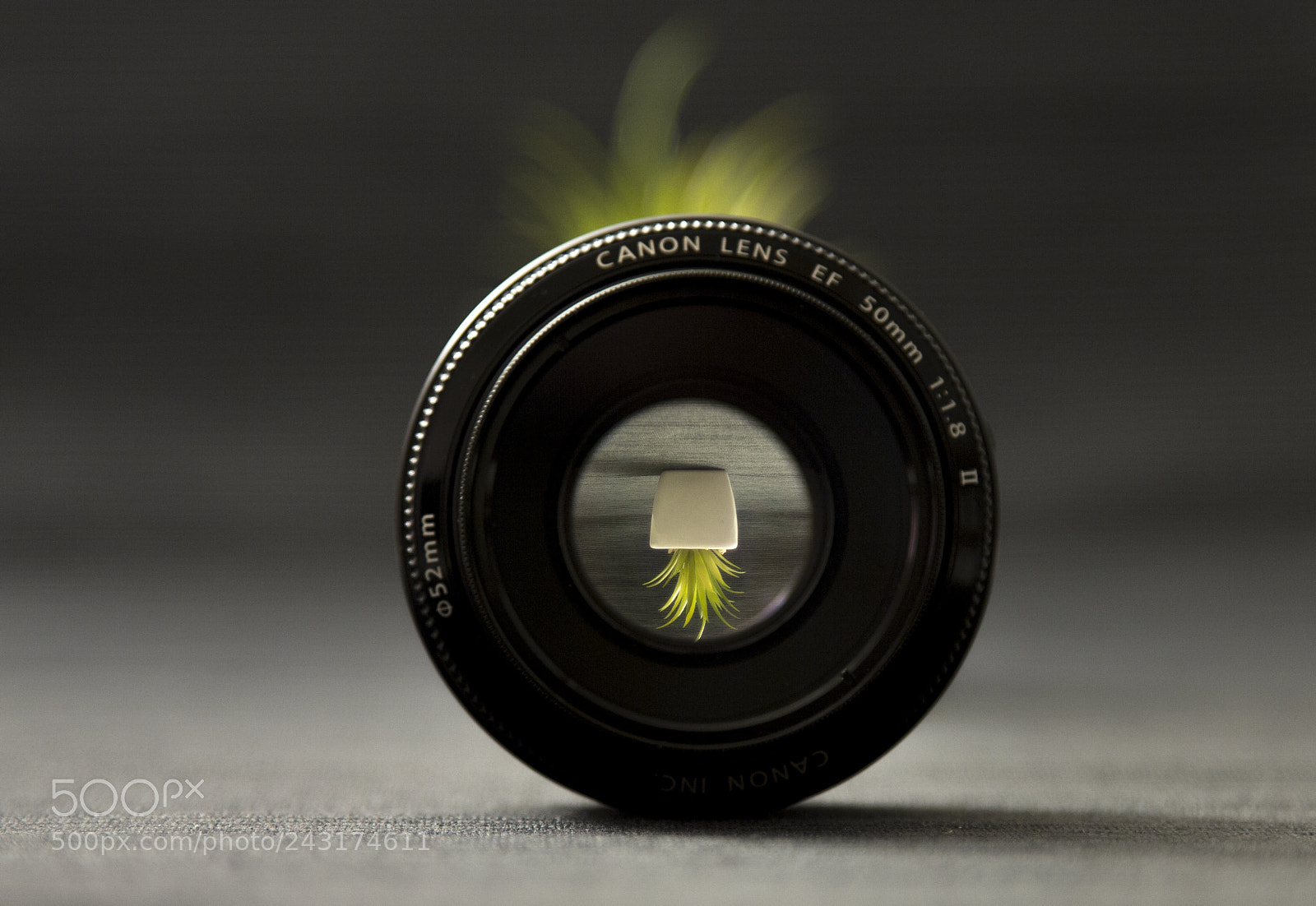 Canon EOS 60D sample photo. Beloved nifty-fifty photography