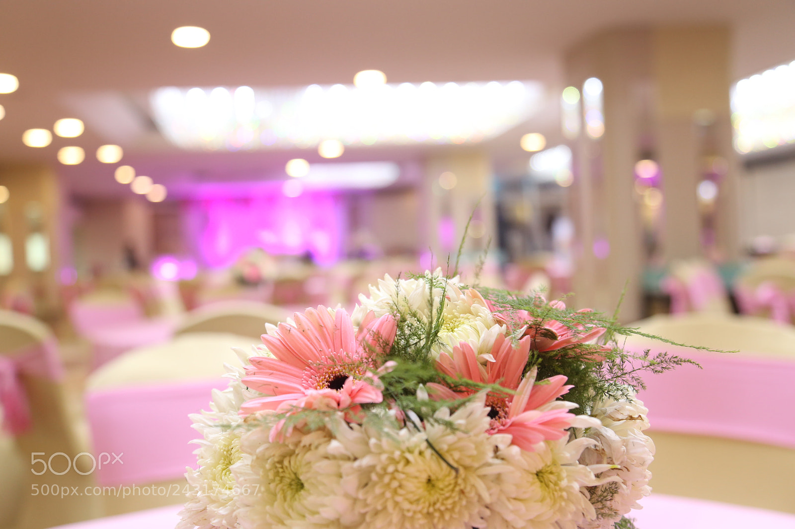 Canon EOS 6D + Canon EF 24-105mm F4L IS USM sample photo. Untitled photography