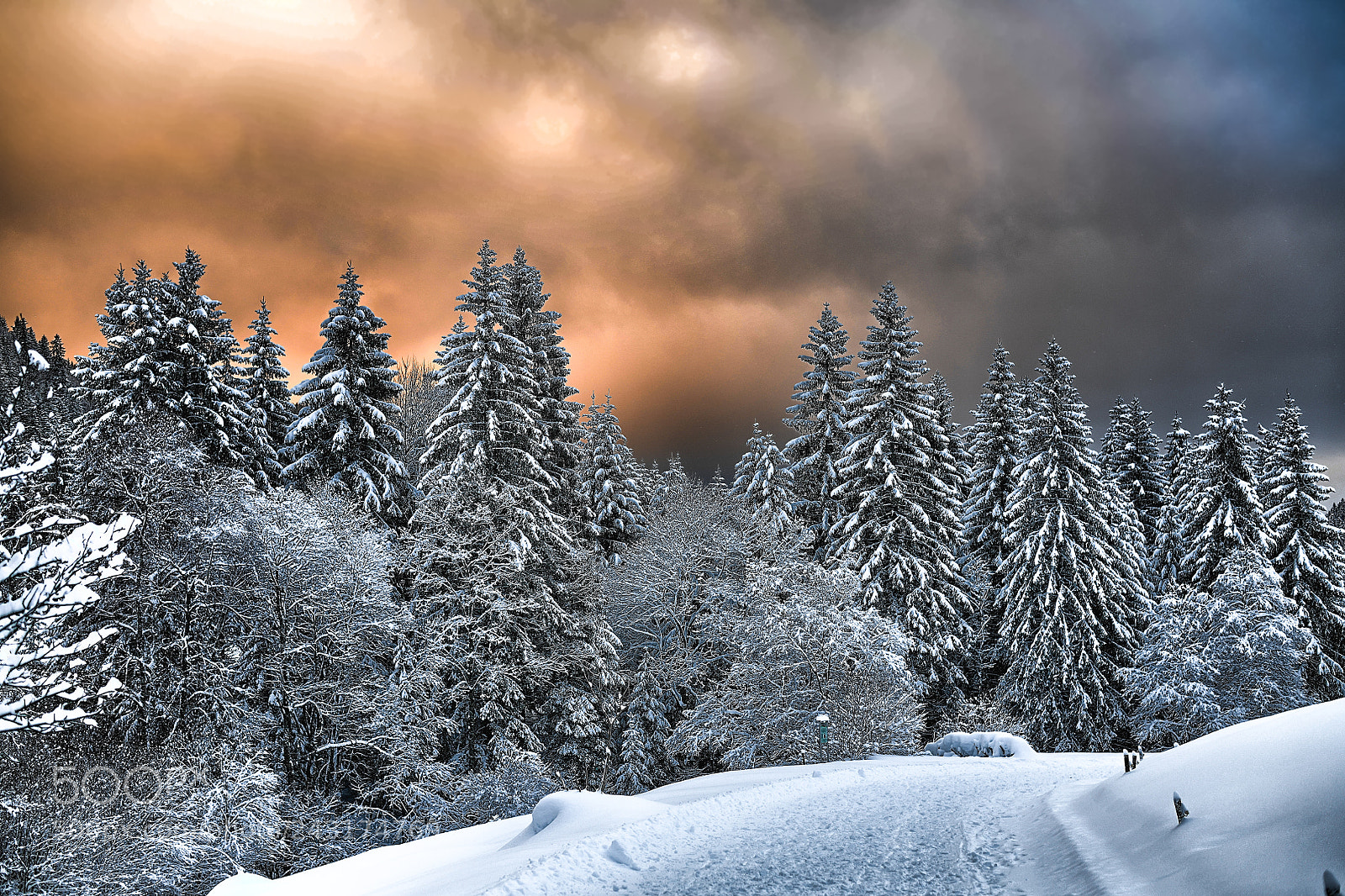 Nikon D850 sample photo. Winter dreams ix photography