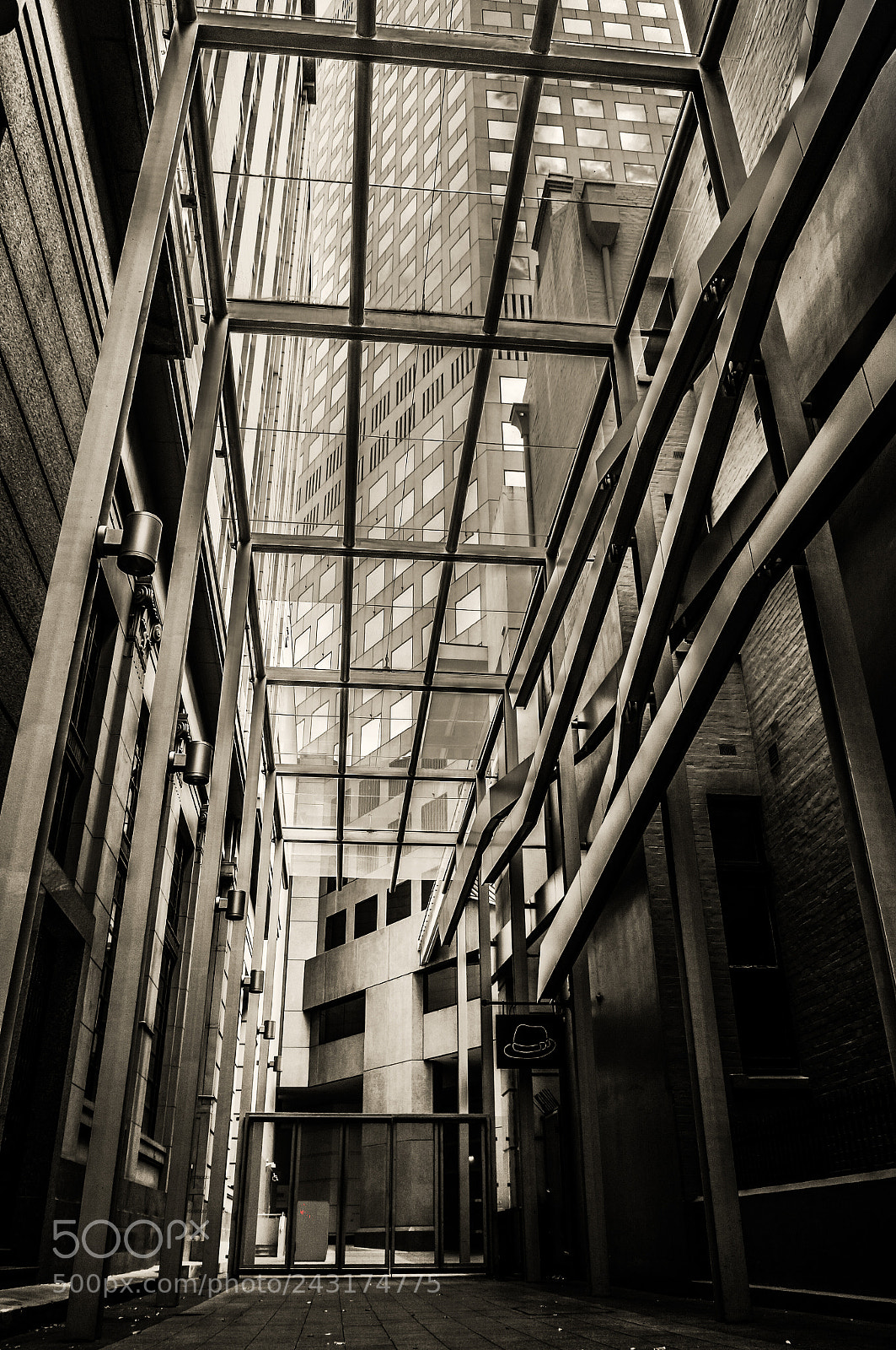 Sony Alpha NEX-5N sample photo. Looking up photography