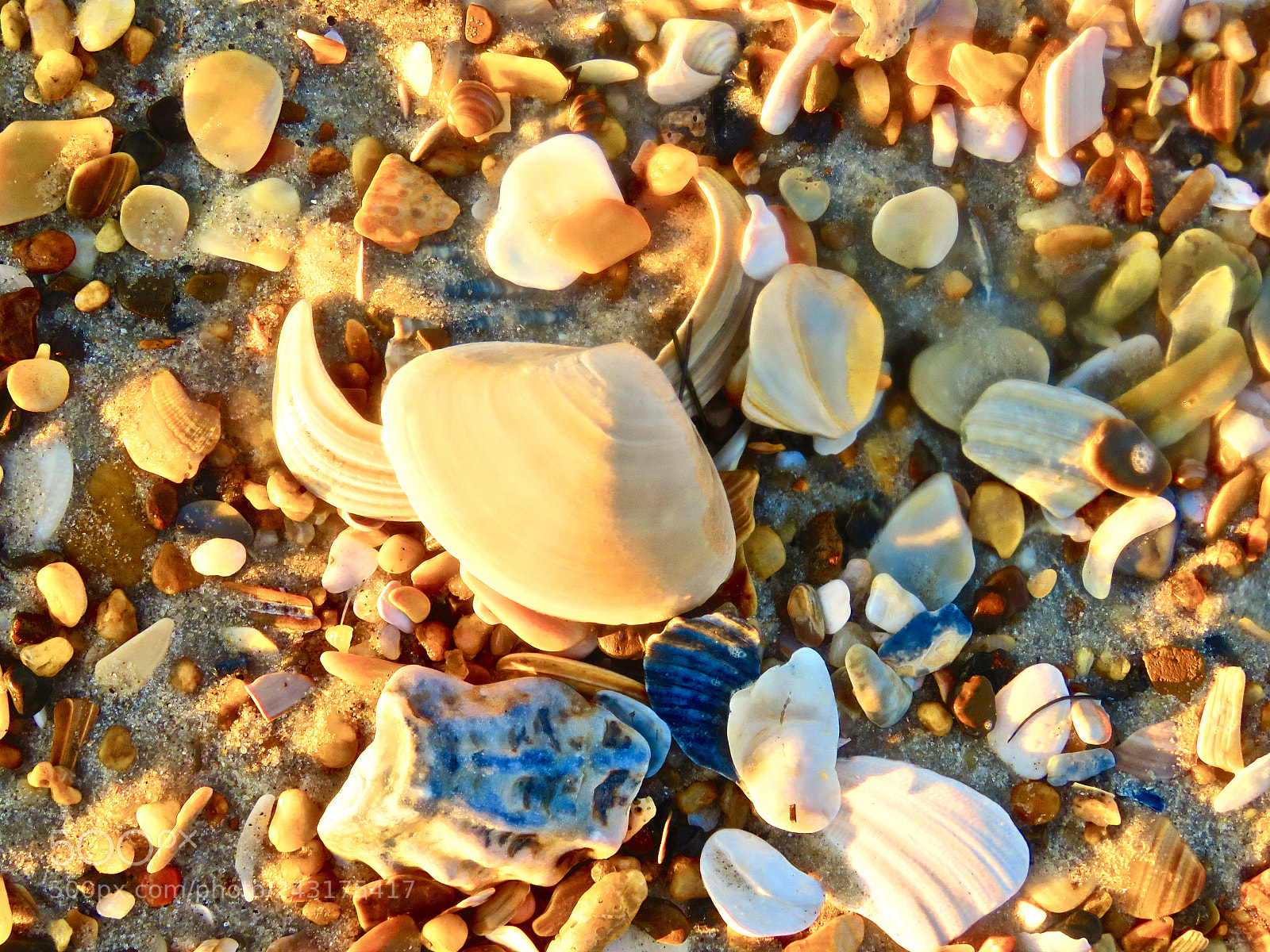 Canon PowerShot SX60 HS sample photo. Seaside treasures photography