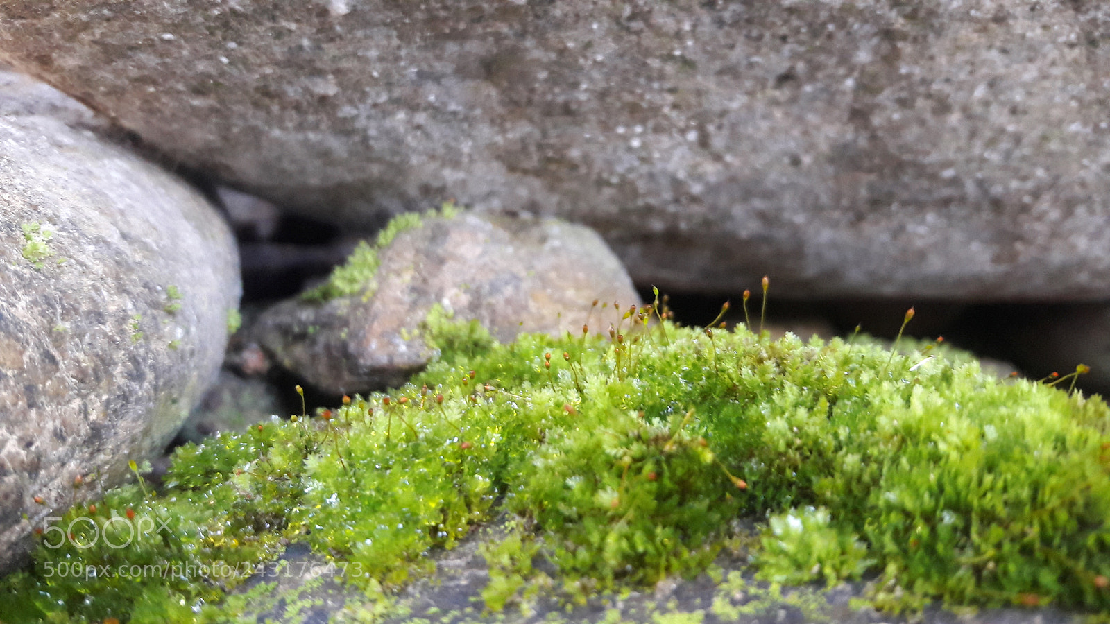 Samsung Galaxy J7 sample photo. 20161212_152656.jpg photography