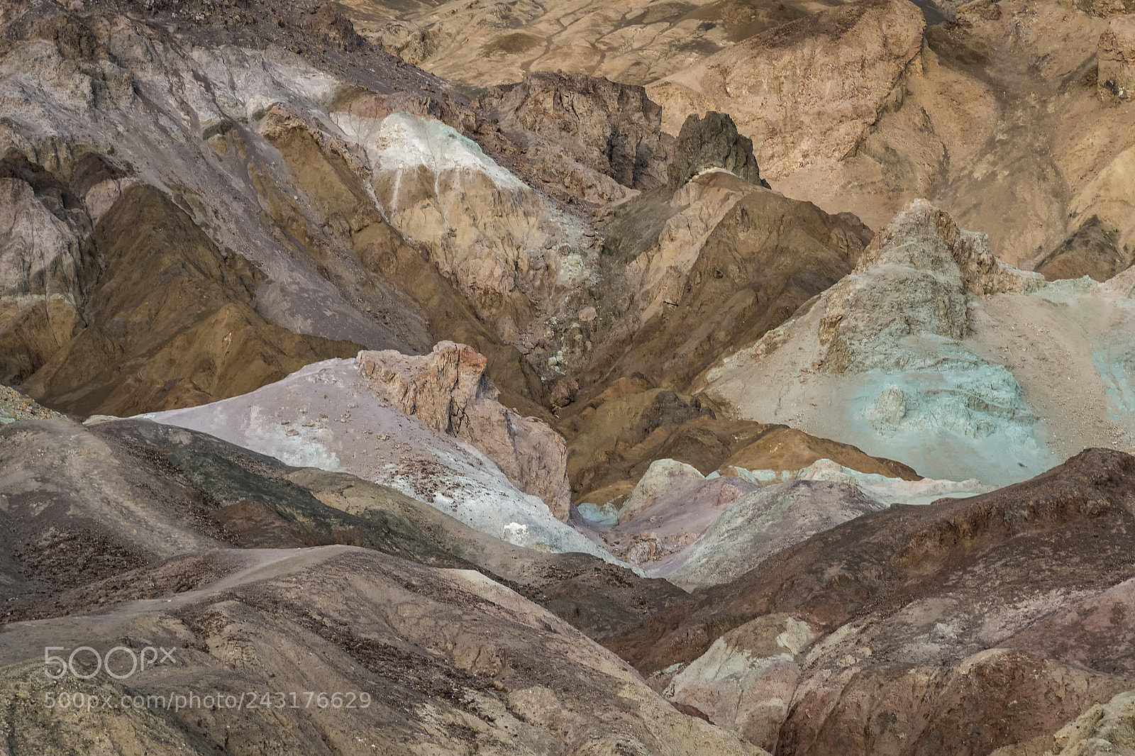 Nikon D850 sample photo. Artist s palette, death photography