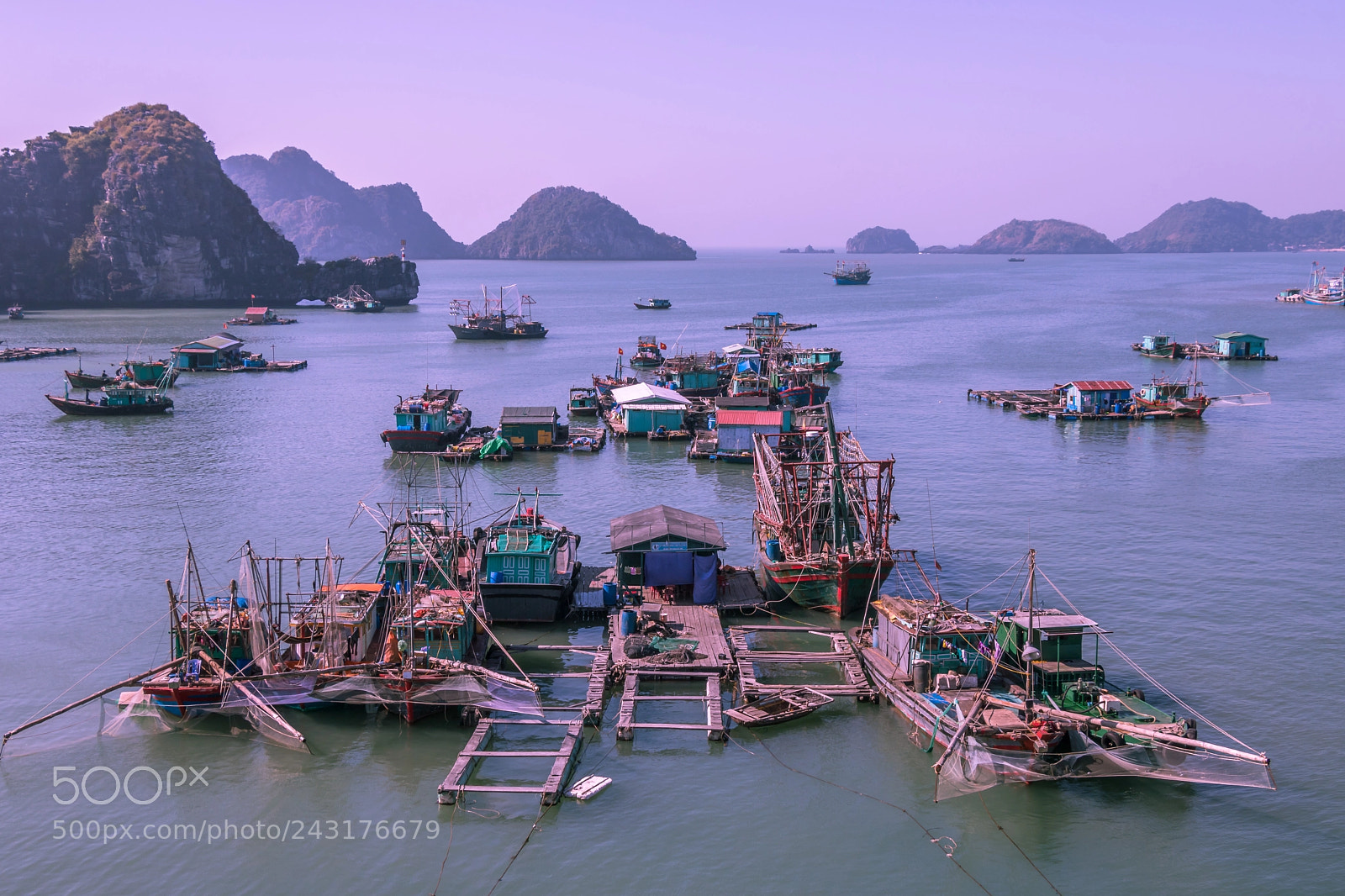 Canon EOS 750D (EOS Rebel T6i / EOS Kiss X8i) sample photo. Floating village near cat photography