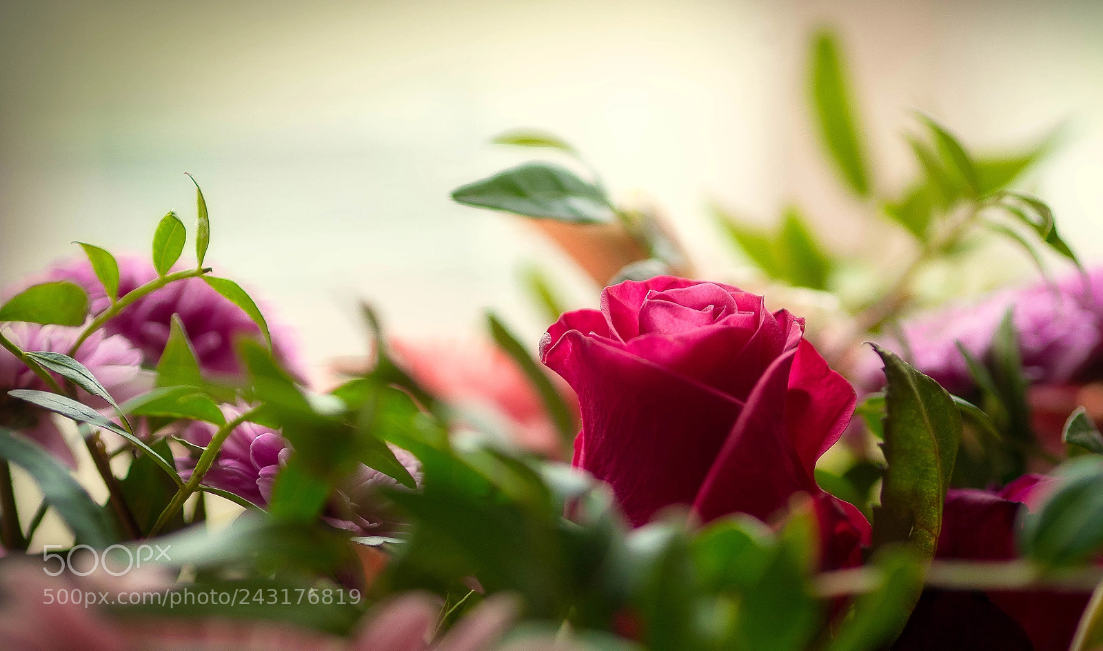 Olympus OM-D E-M5 II sample photo. The beautiful morning / Королевское утро photography