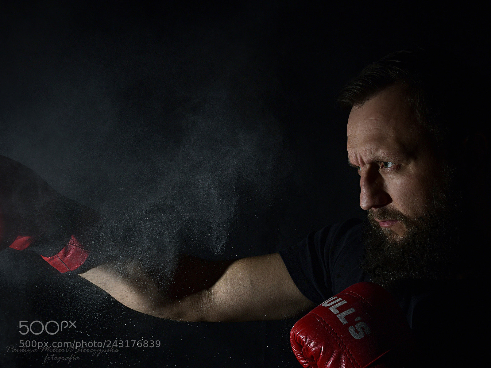Nikon D810 sample photo. Fighter photography