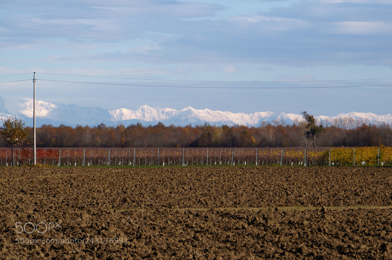 Sony Alpha NEX-F3 sample photo. Shades photography