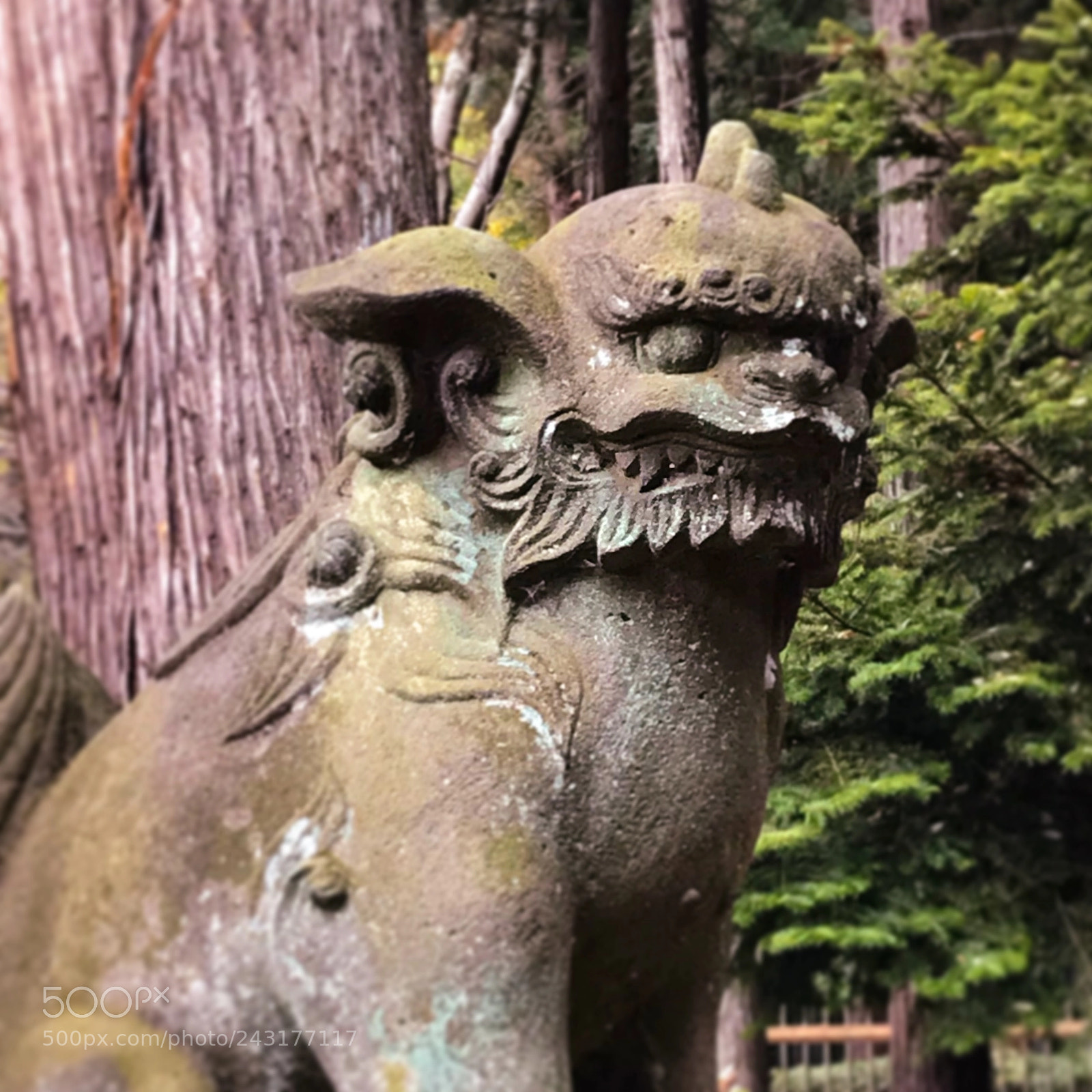 Apple iPhone 7 sample photo. Maginary mythical  shishi photography