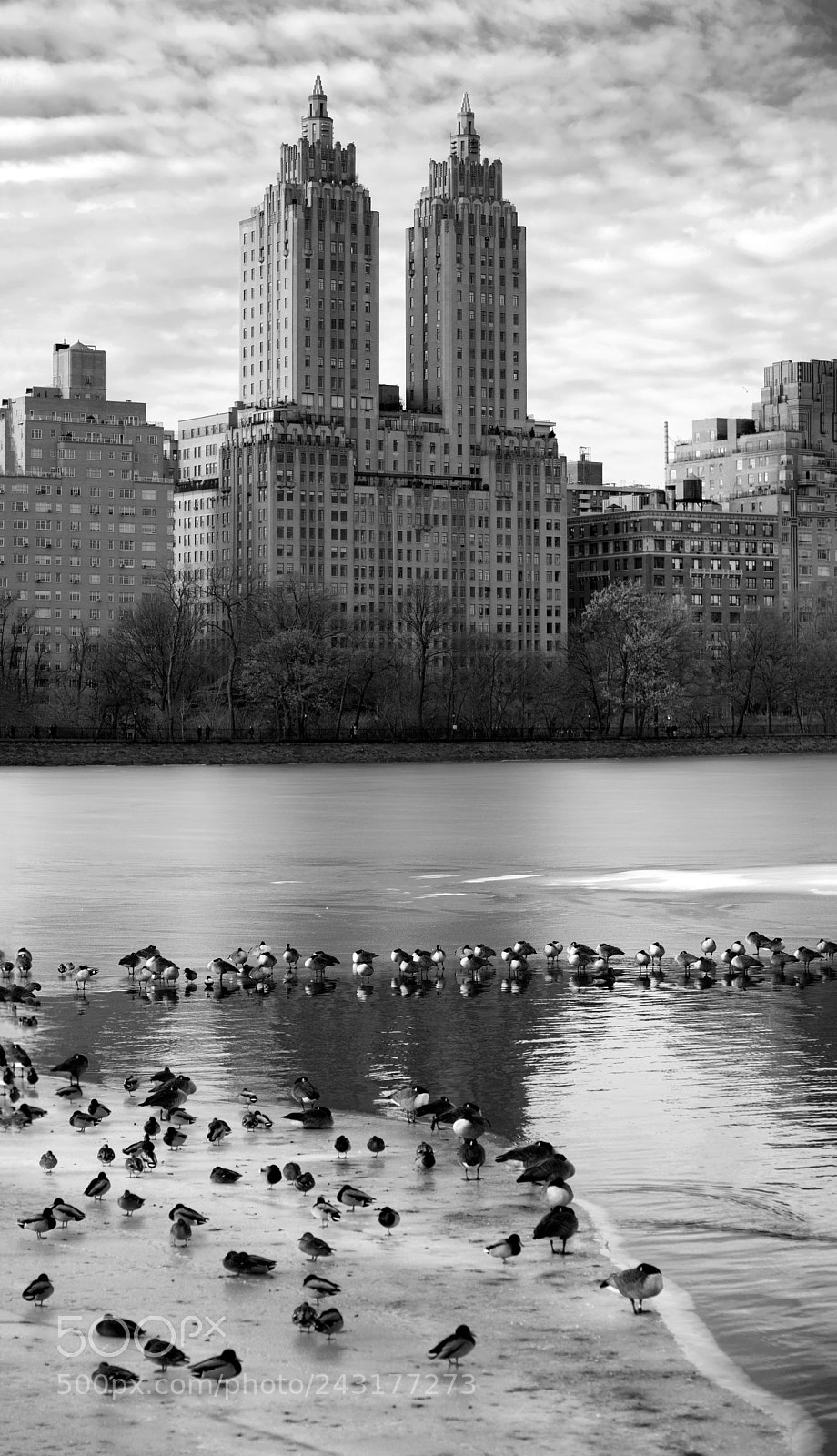Sony a7R II sample photo. The eldorado photography