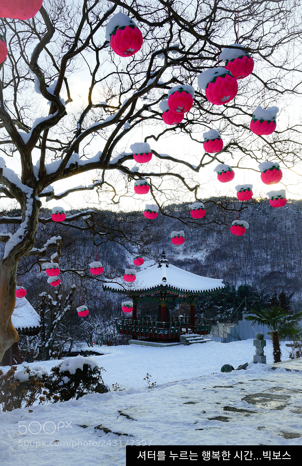 Sony a7 II sample photo. Temple 4 photography