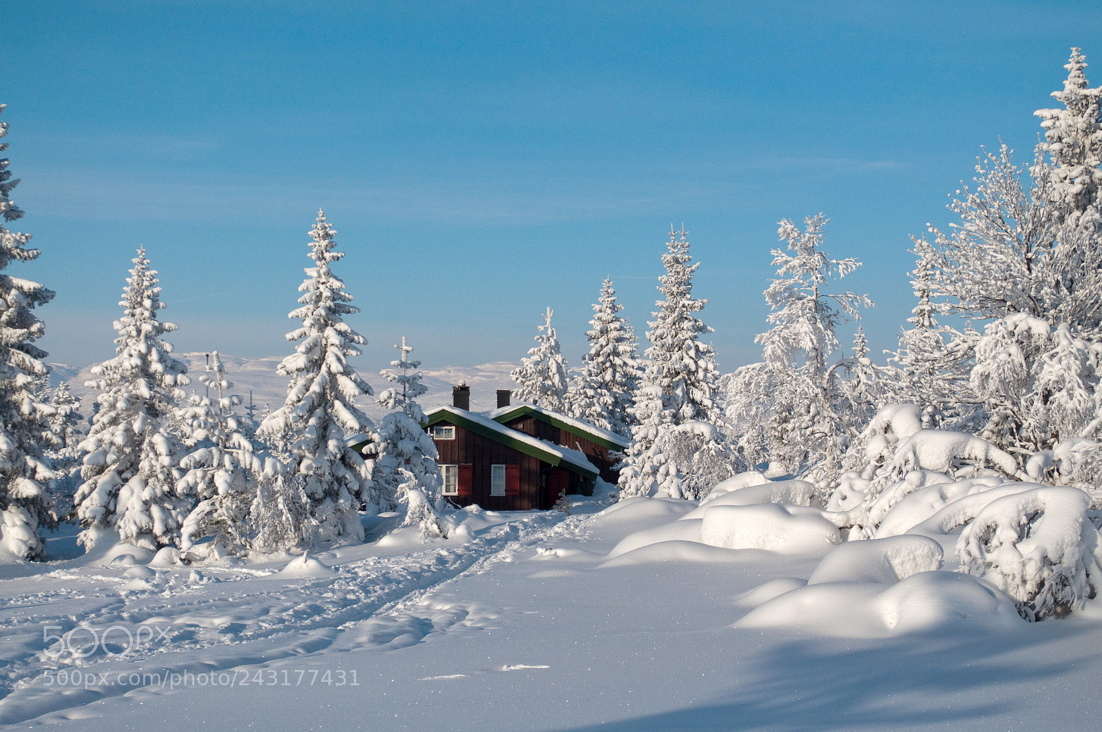 Nikon D5000 sample photo. In winterwonderland photography