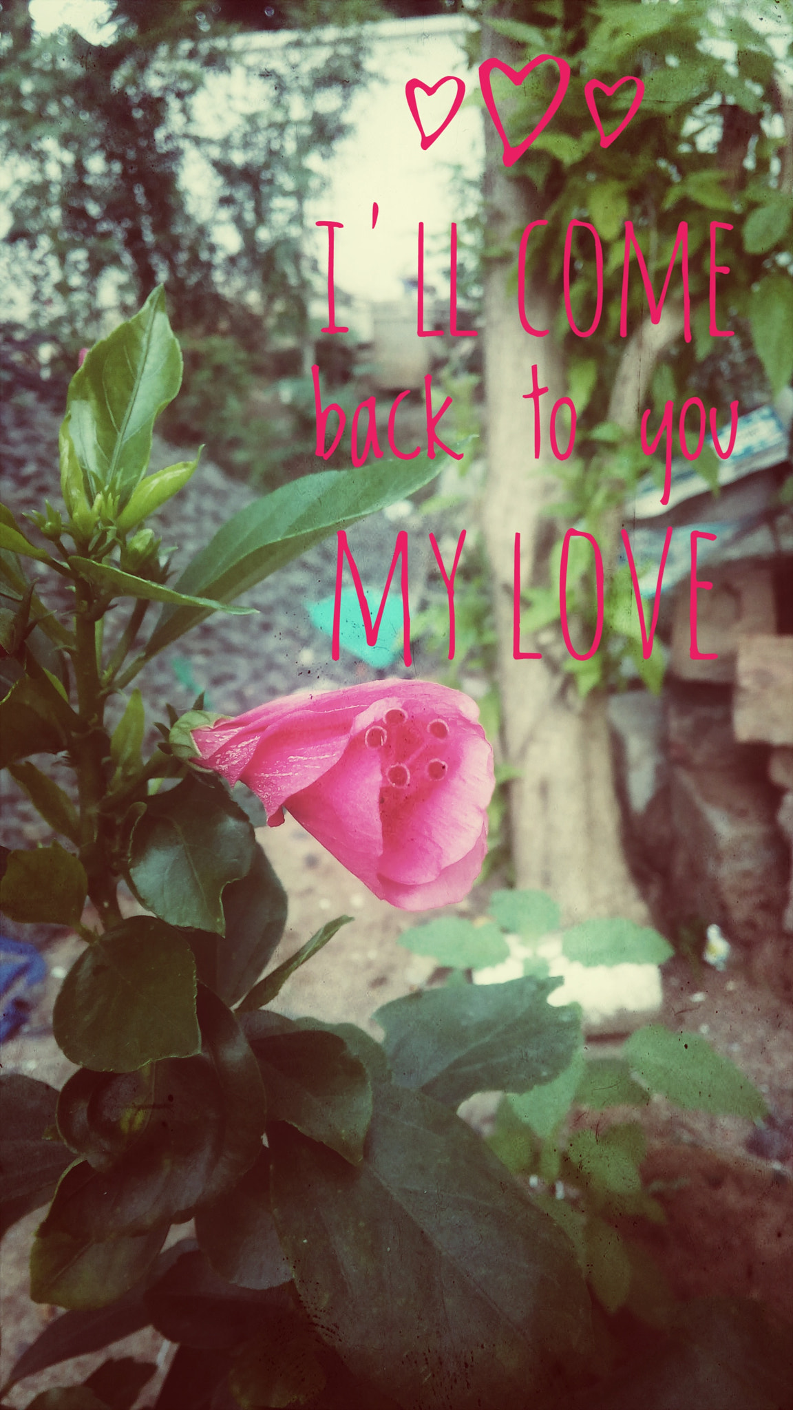 Micromax Canvas Spark sample photo. Love life photography