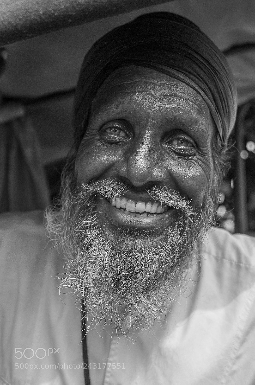 Nikon D300S sample photo. Mr green eyes photography