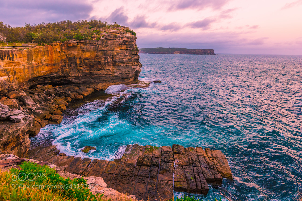 Nikon D810 sample photo. South head photography