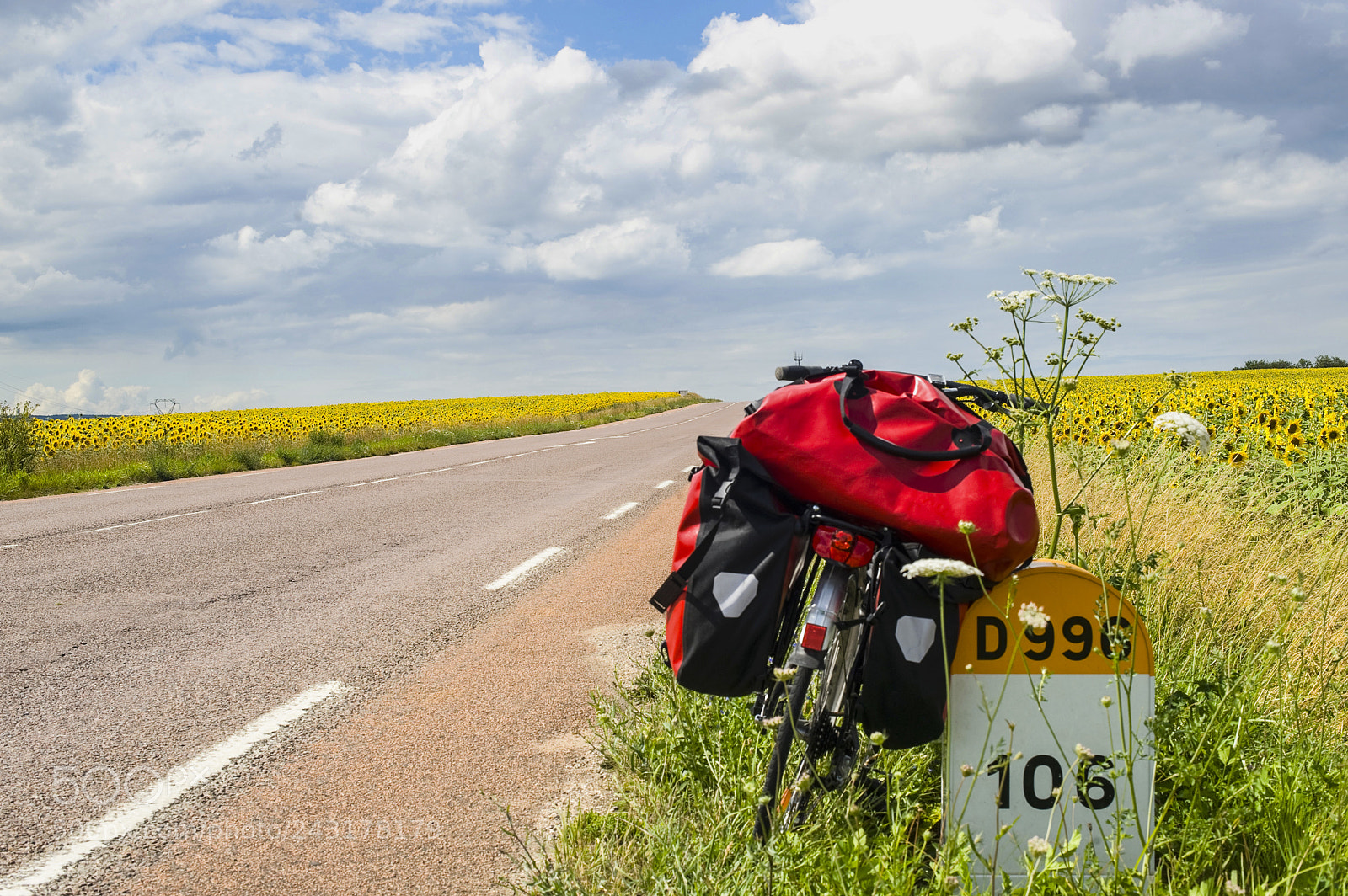 Nikon D700 sample photo. Bicycle and sunflowers in photography