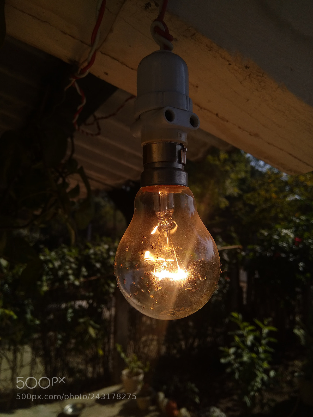 Xiaomi MI MAX sample photo. Untitled photography