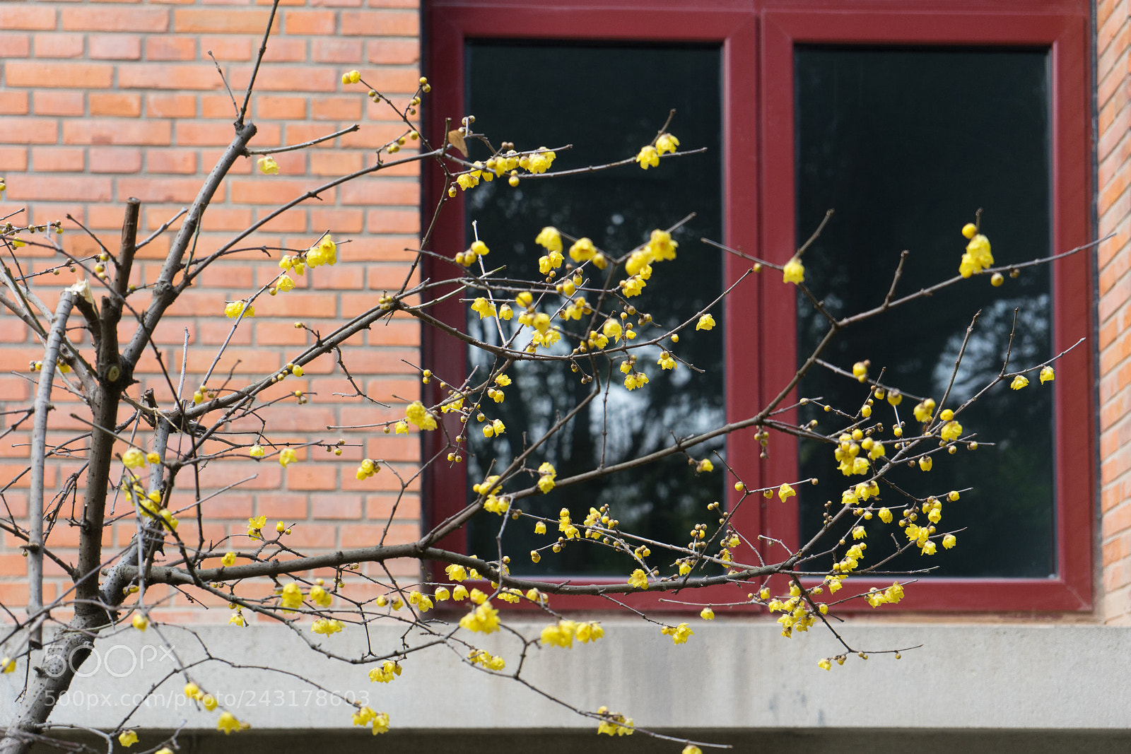 Sony a7 sample photo. Untitled photography