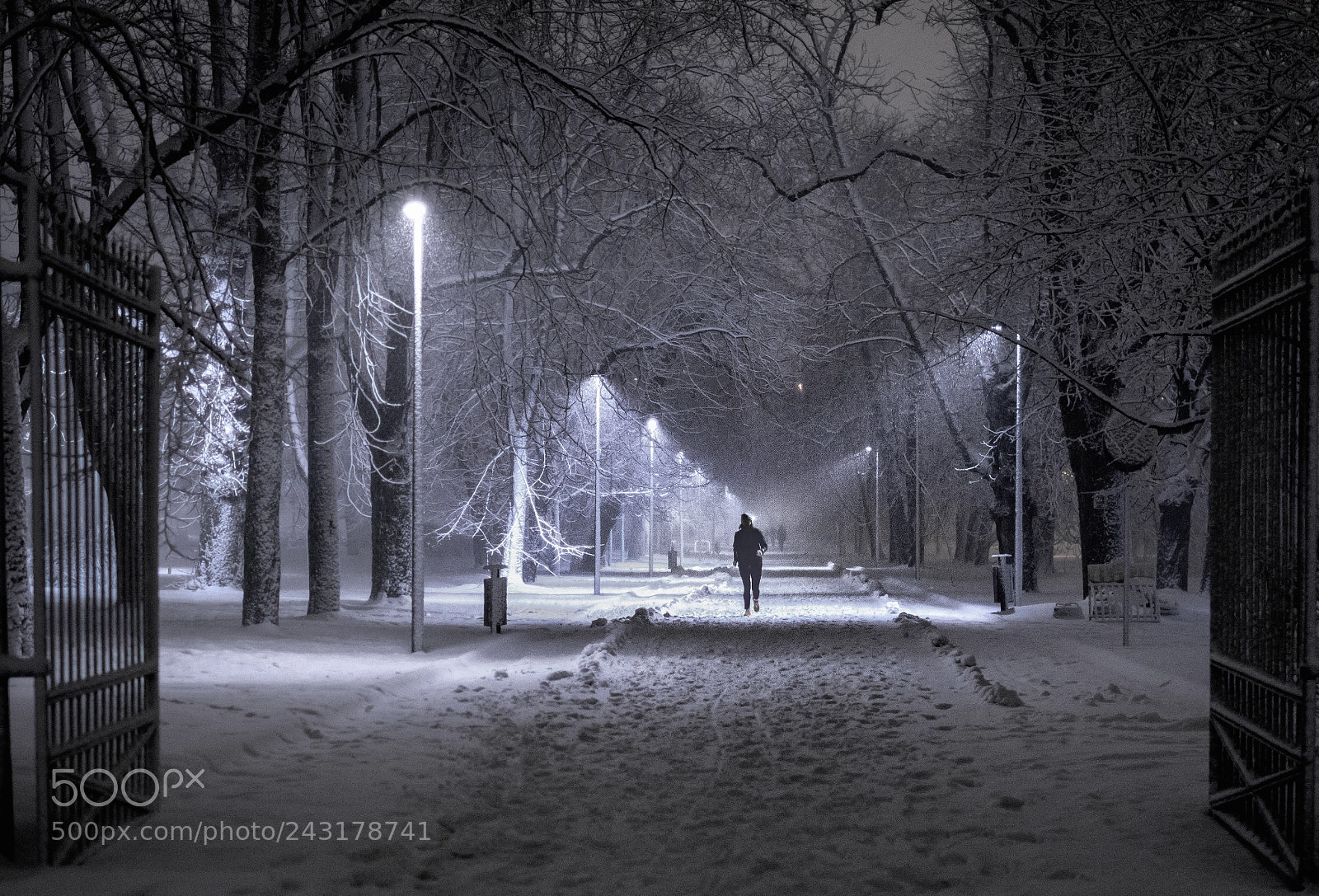 Nikon D7200 sample photo. Blizzard running photography