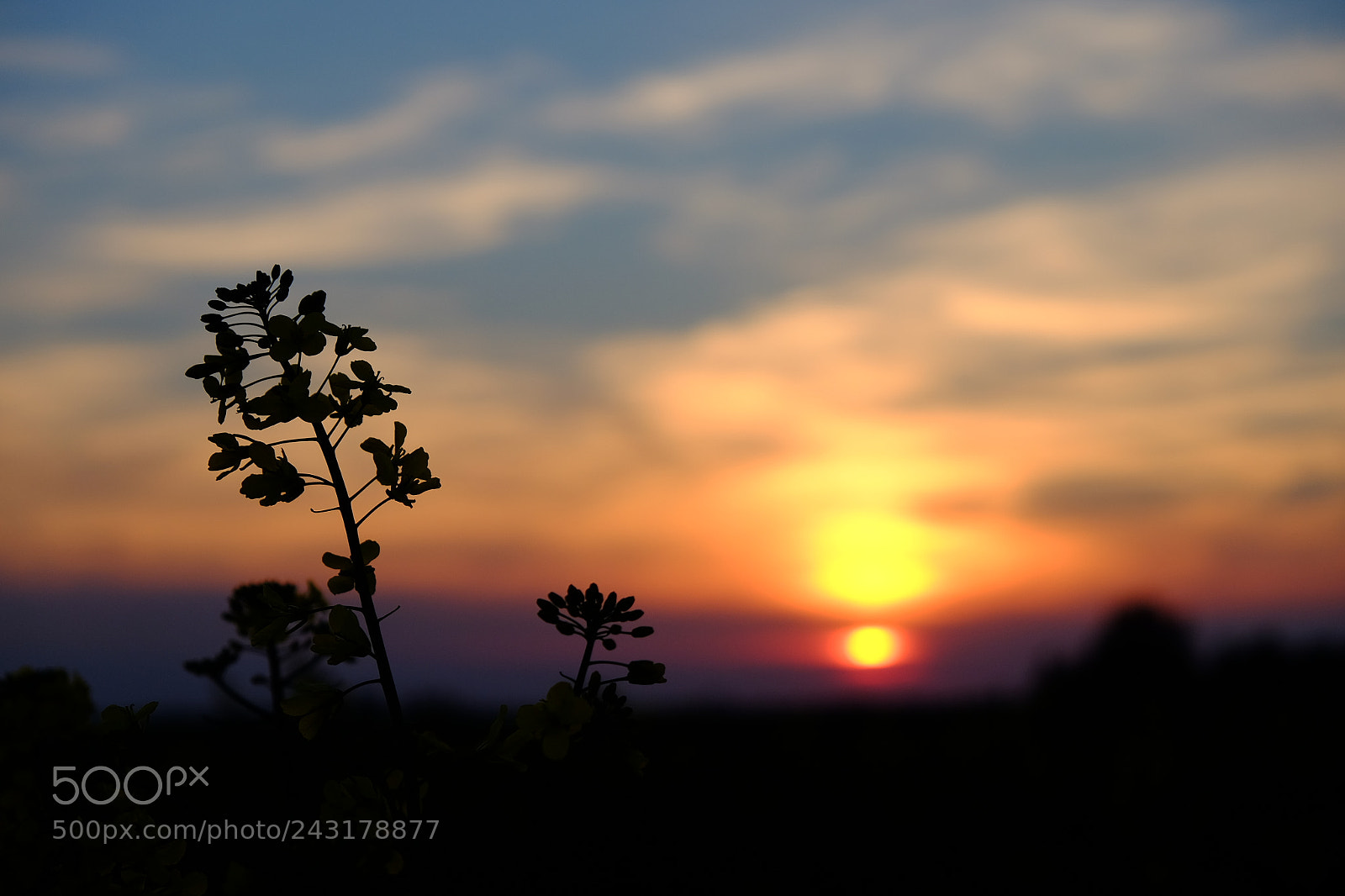 Fujifilm X-T10 sample photo. Spring photography