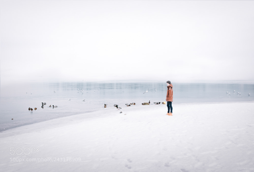 Canon EOS 760D (EOS Rebel T6s / EOS 8000D) sample photo. Minimalism+snow+fog photography