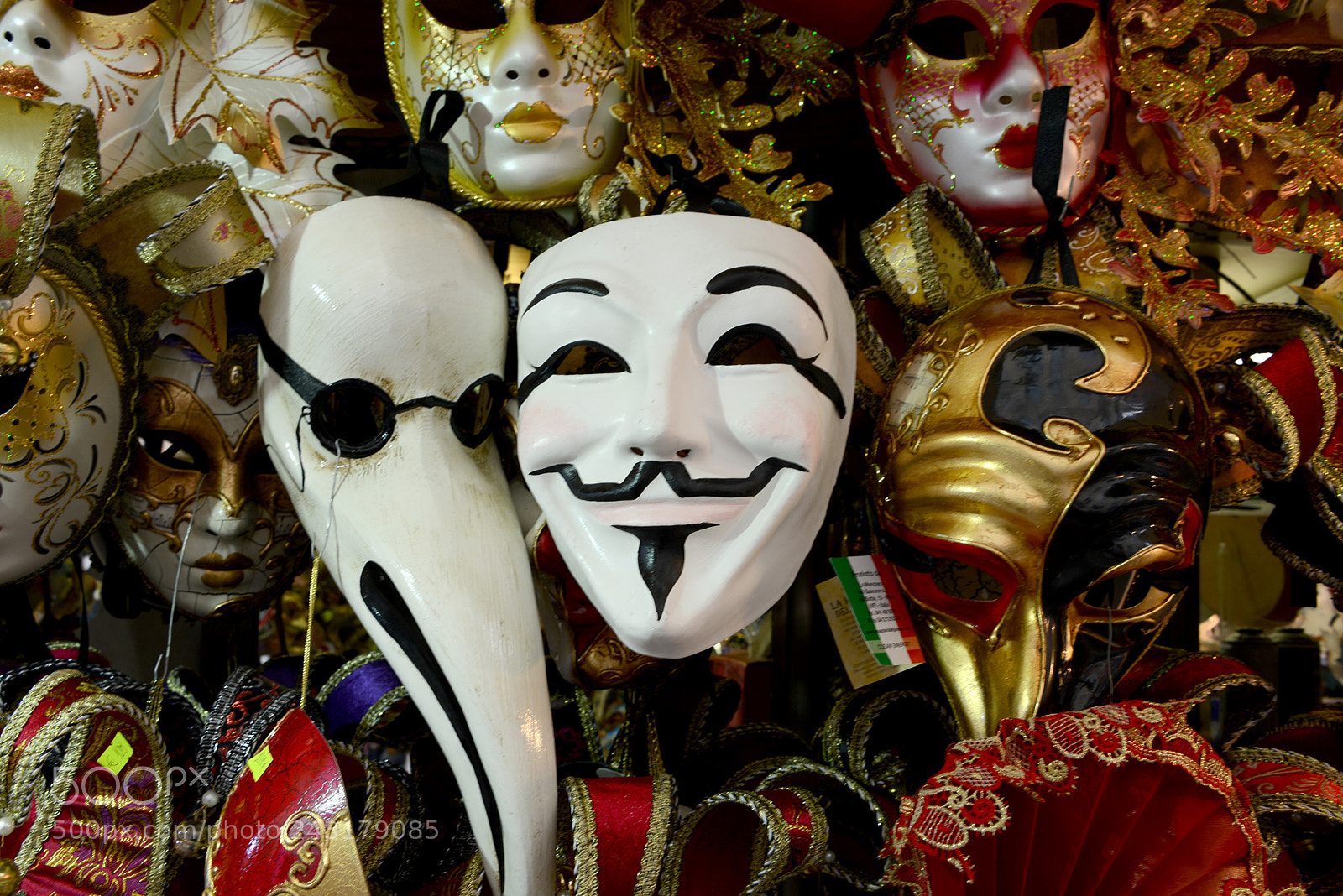 Nikon D600 sample photo. Somebody’s watching photography
